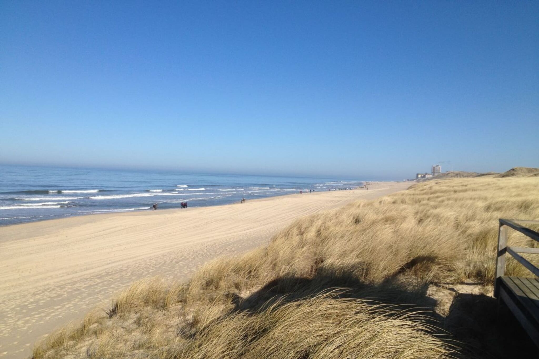53102-Gebieden zomer 5km