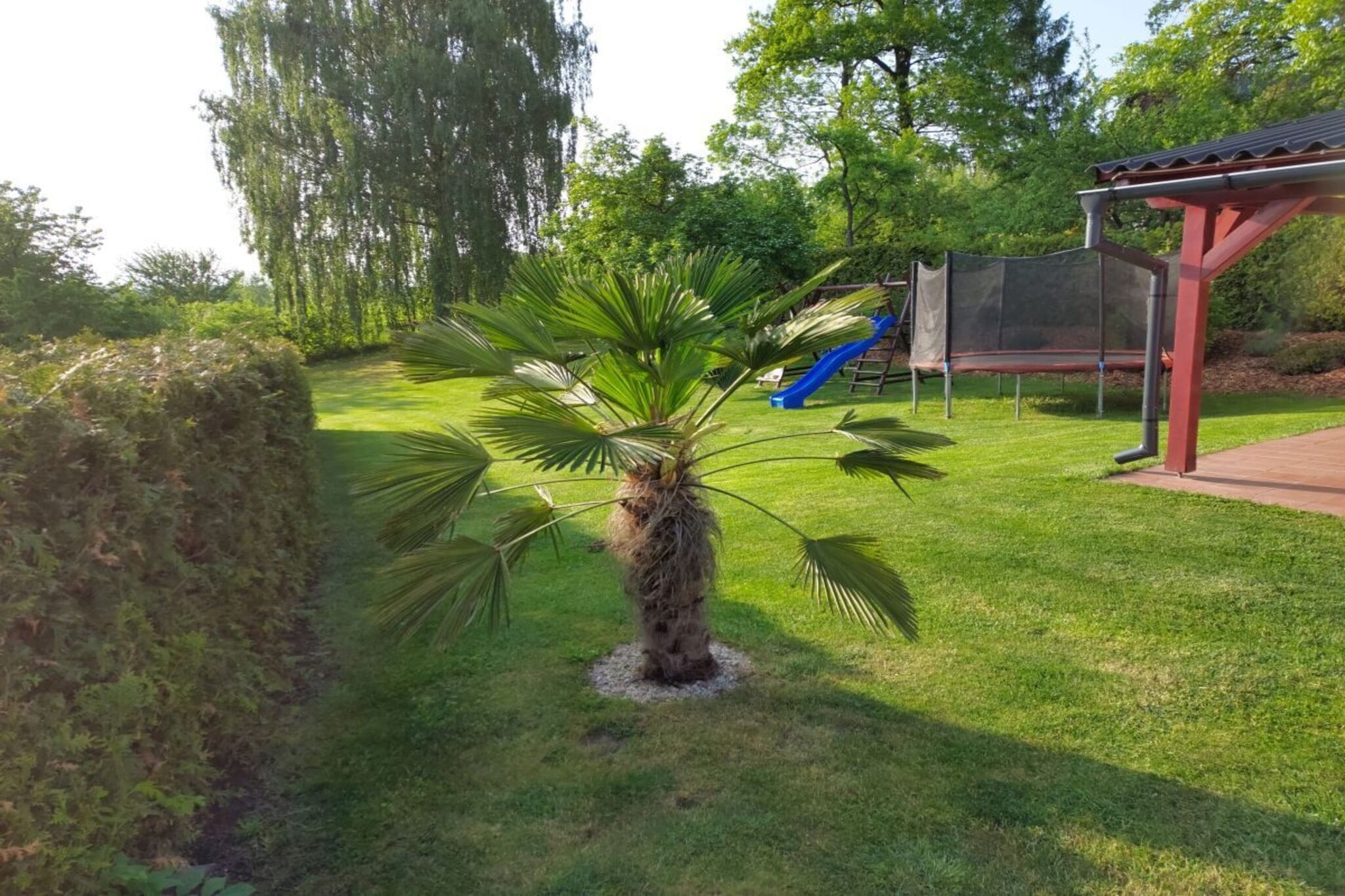127419-Gardens summer