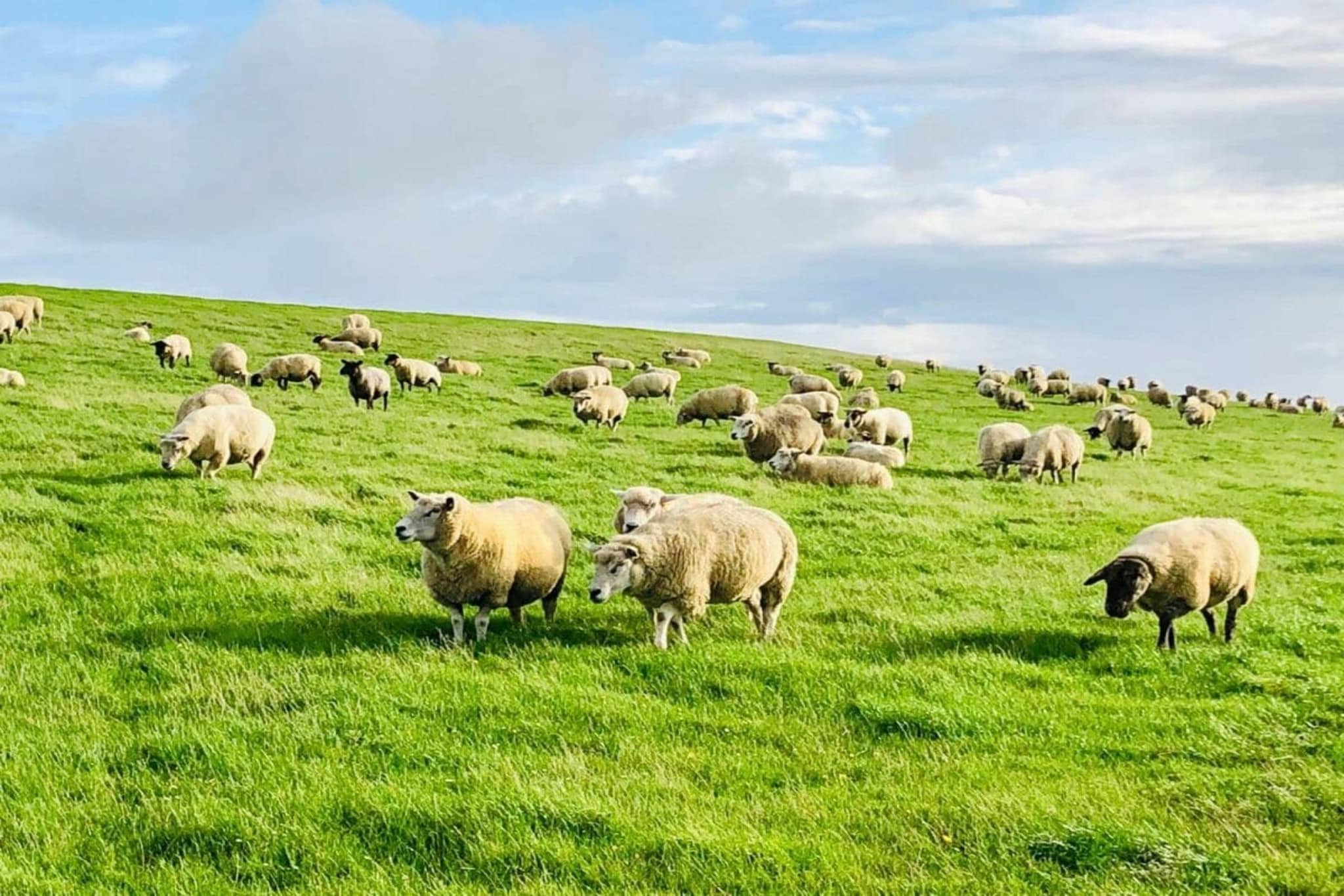 162859-Gebieden zomer 5km