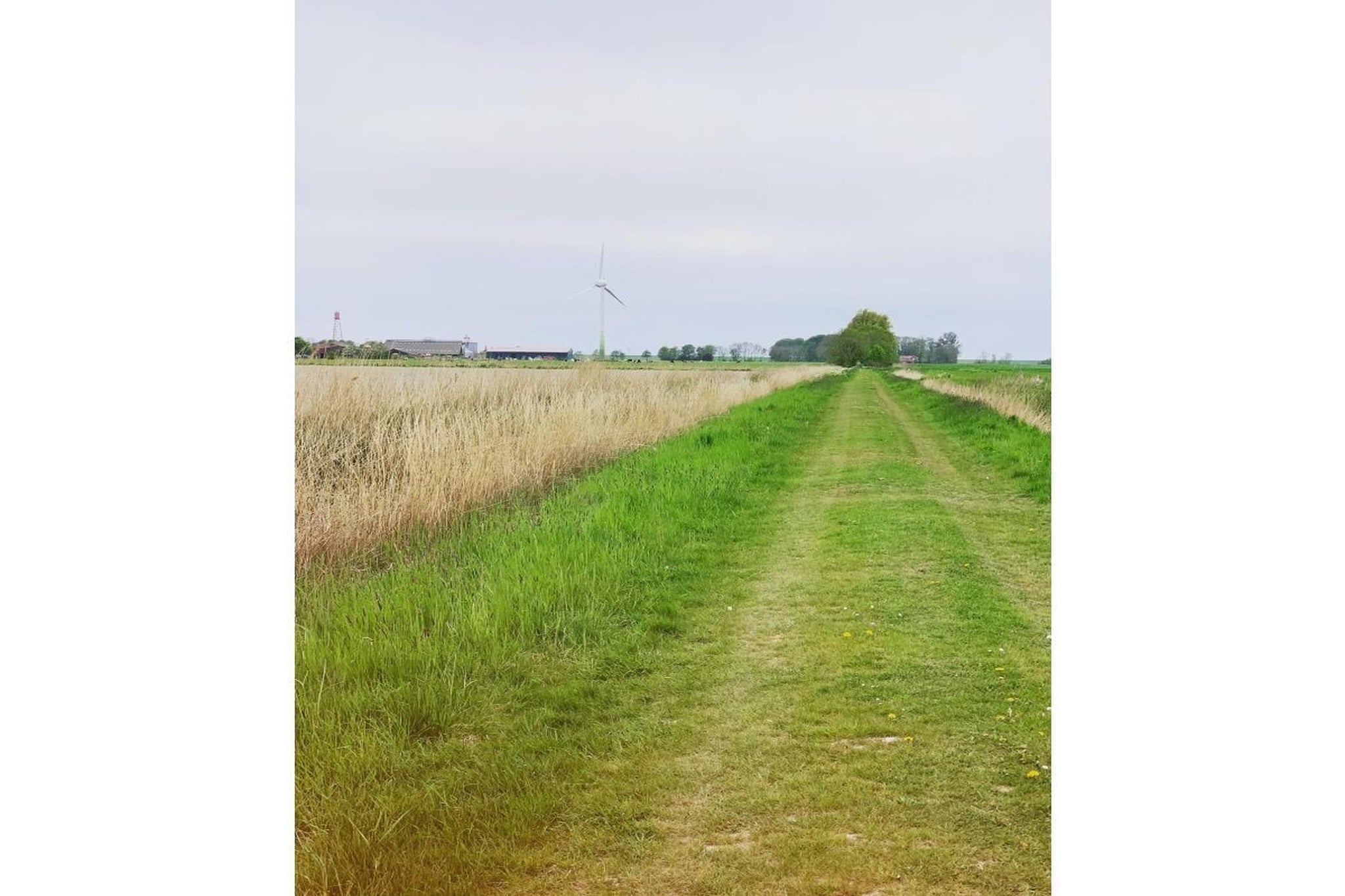 535474-Gebiete Sommer 5 km