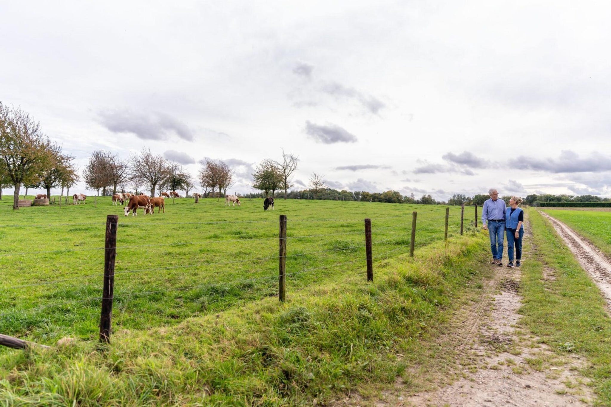 Schaelsbergerbosch - 2 Bathrooms, Fireplace & Garden Shed-Gebieden zomer 20km