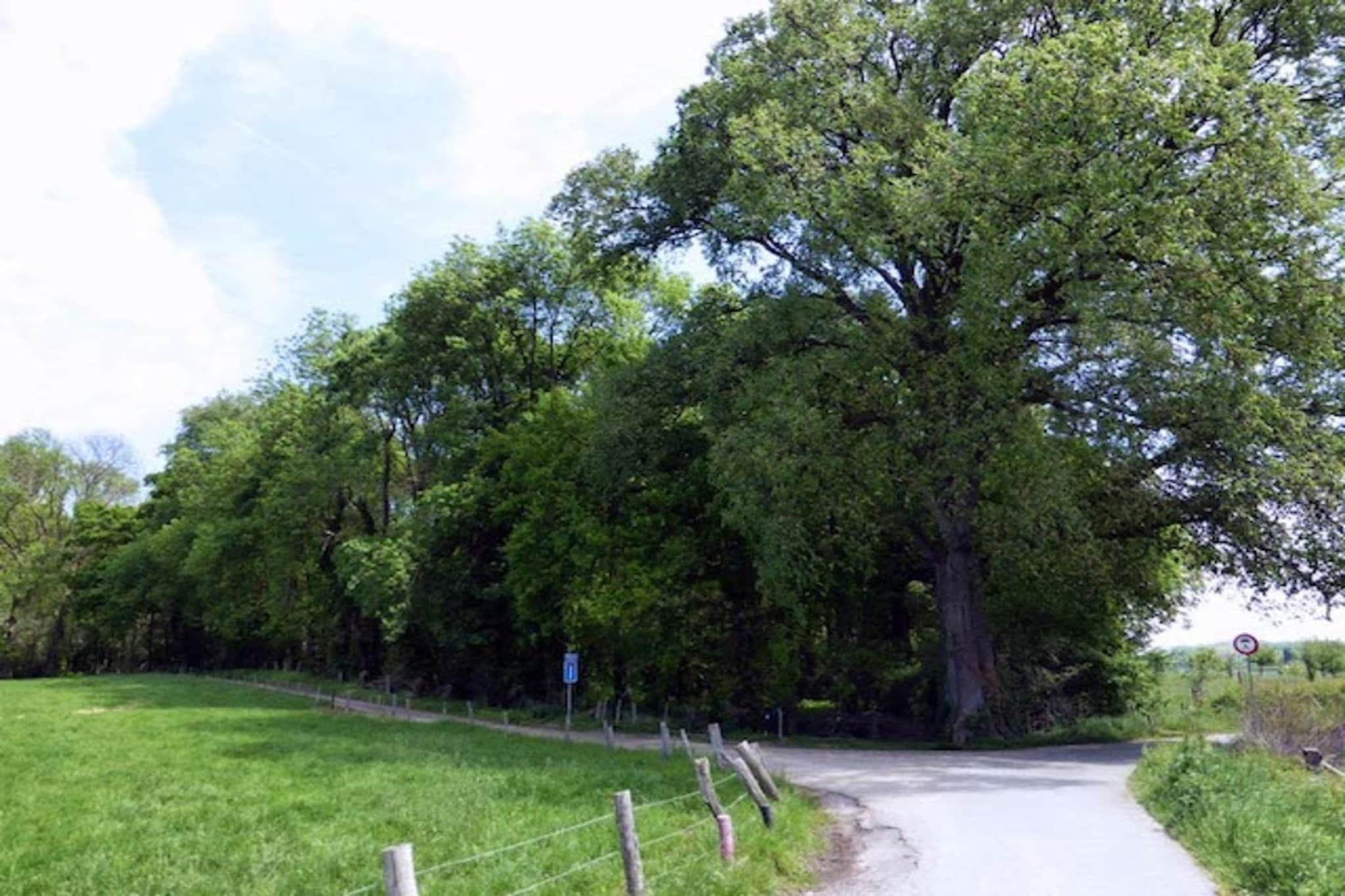 Biebosch - Sunshower-Gebieden zomer 20km