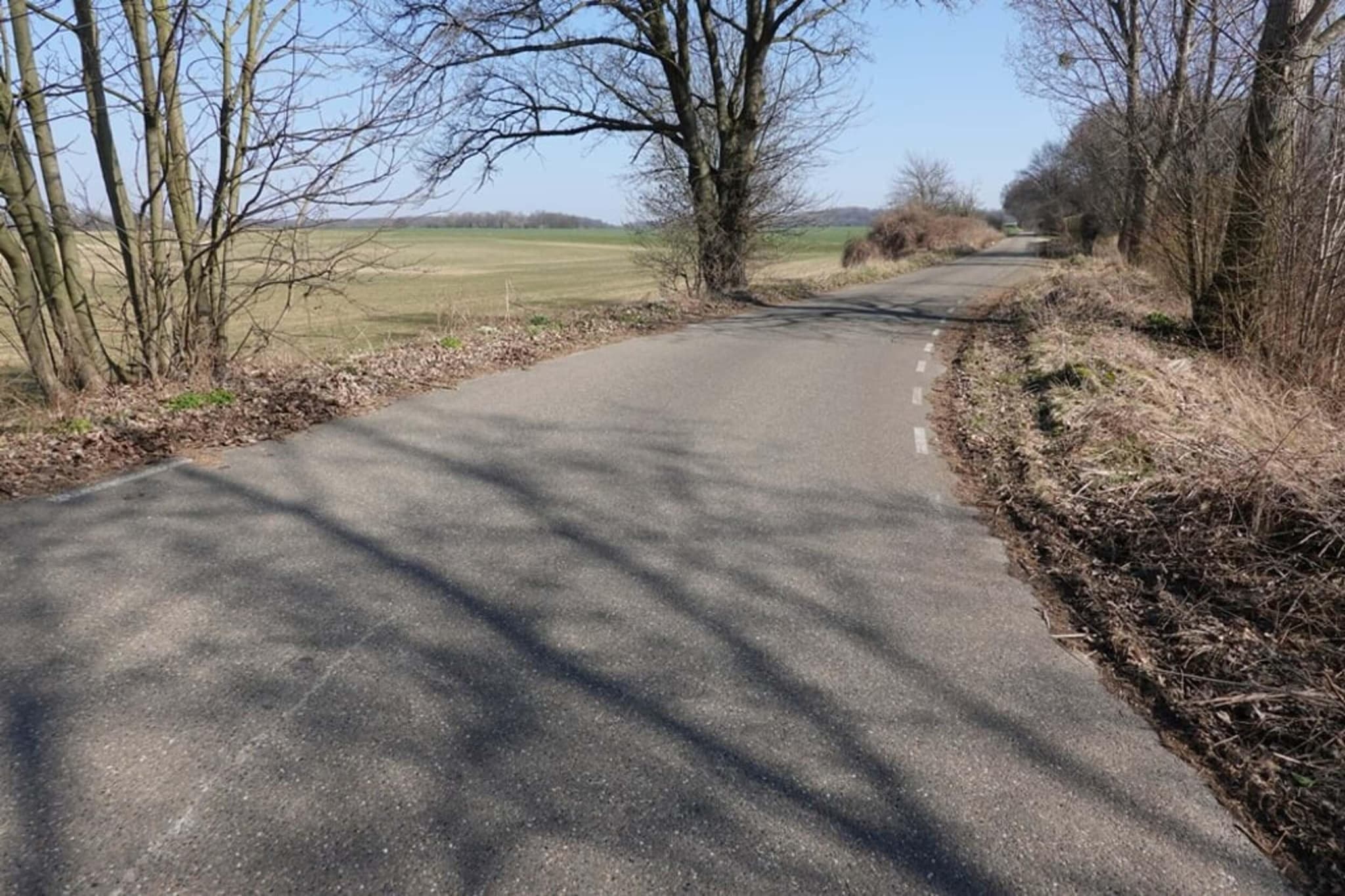 Biebosch - Sunshower-Gebieden zomer 20km