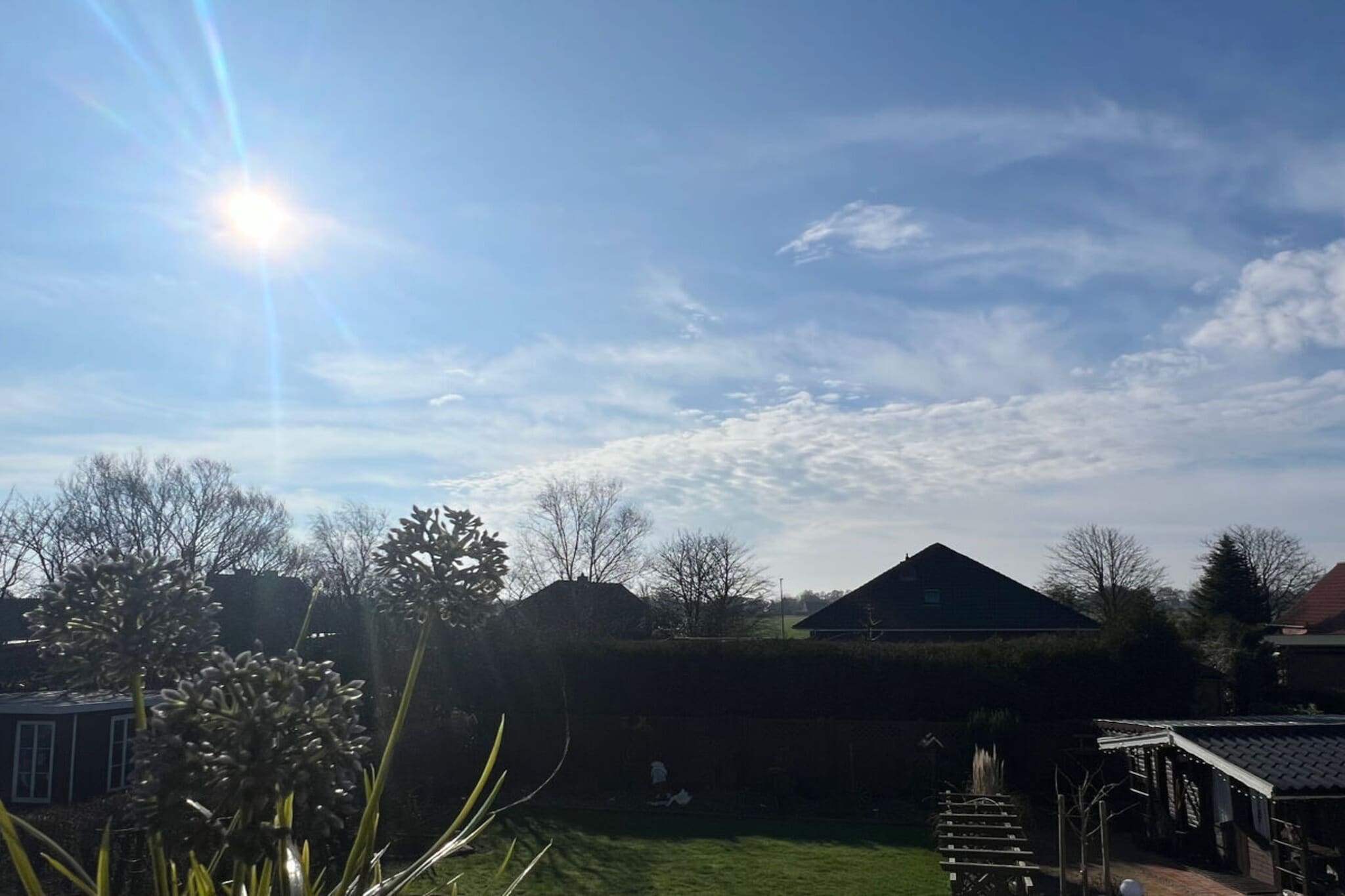 321564-Außenbereich Sommer