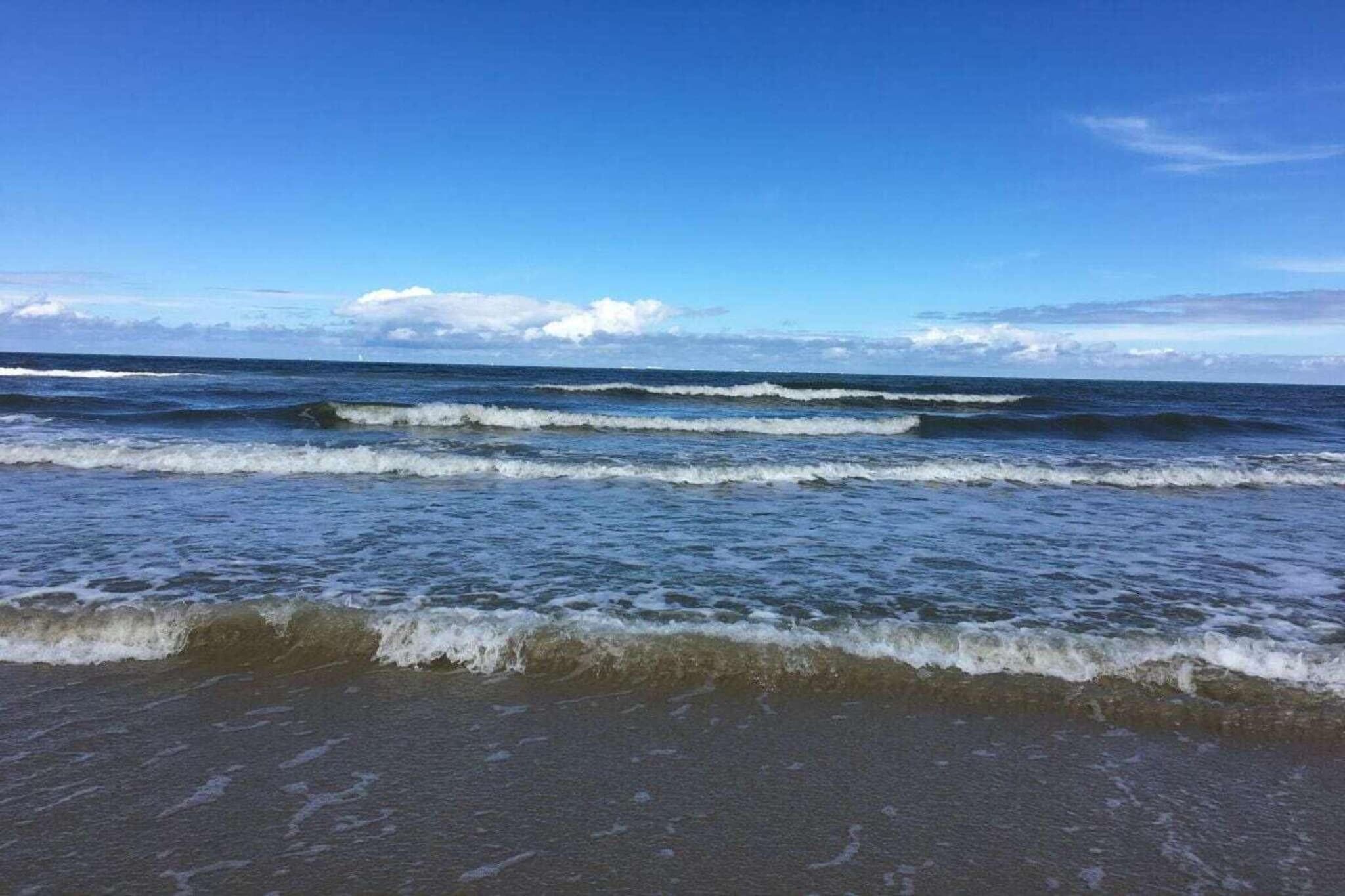 411188-Gebieden zomer 1km