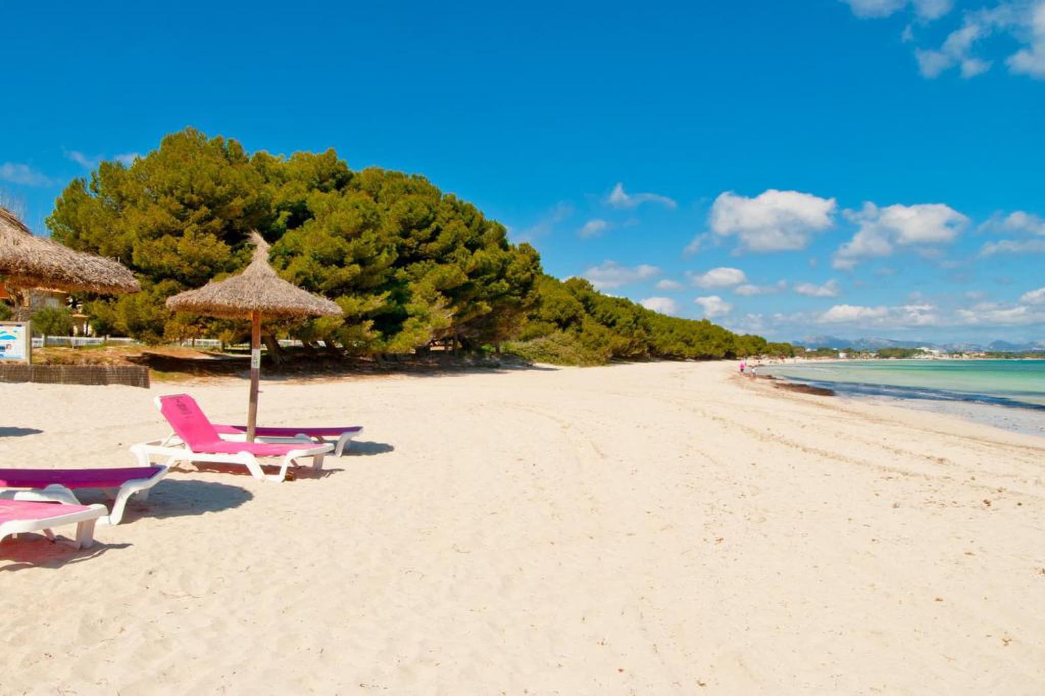 Blue Palm Beach-Gebiete Sommer 20 km