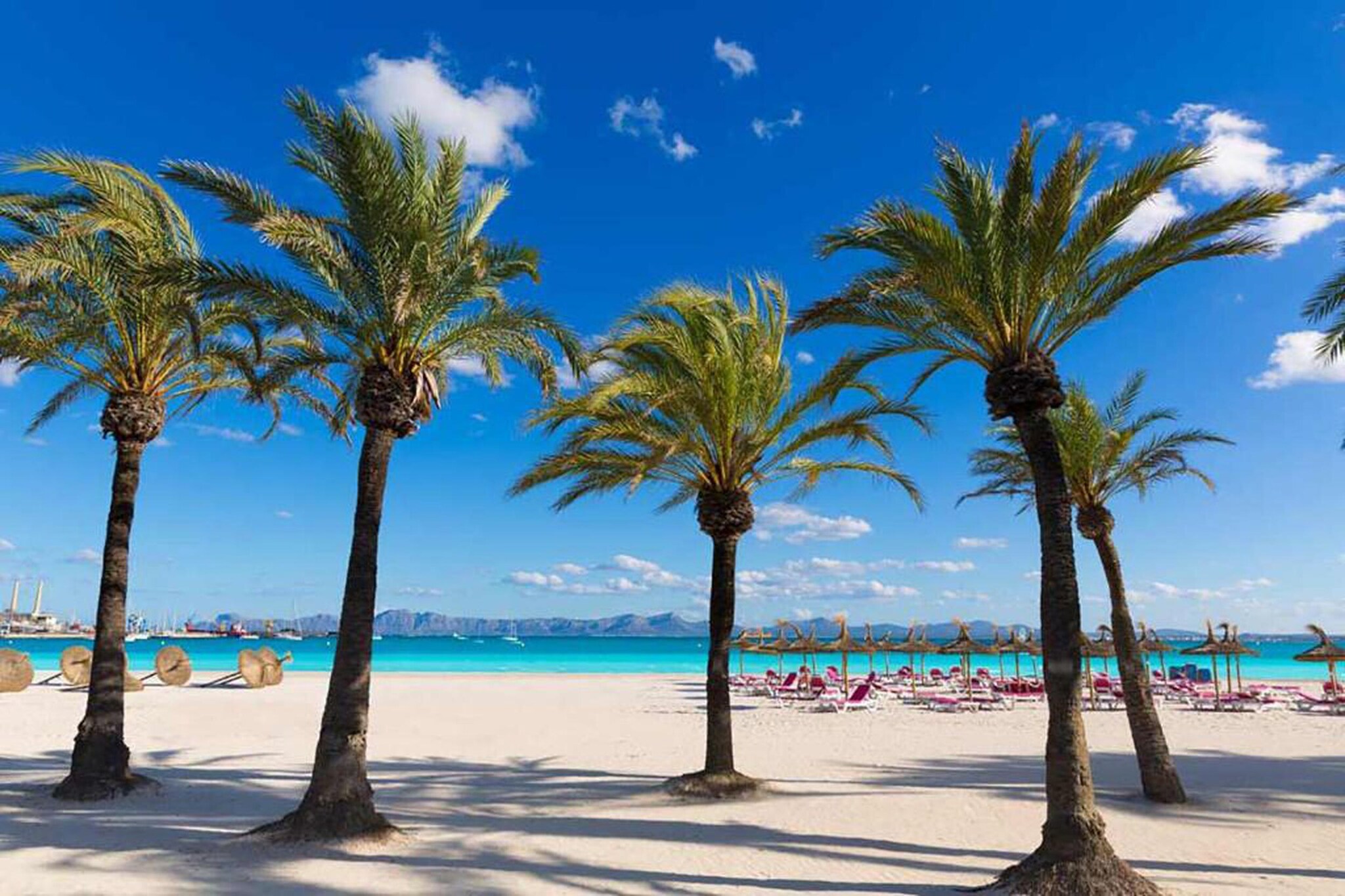 Blue Palm Beach-Gebiete Sommer 20 km