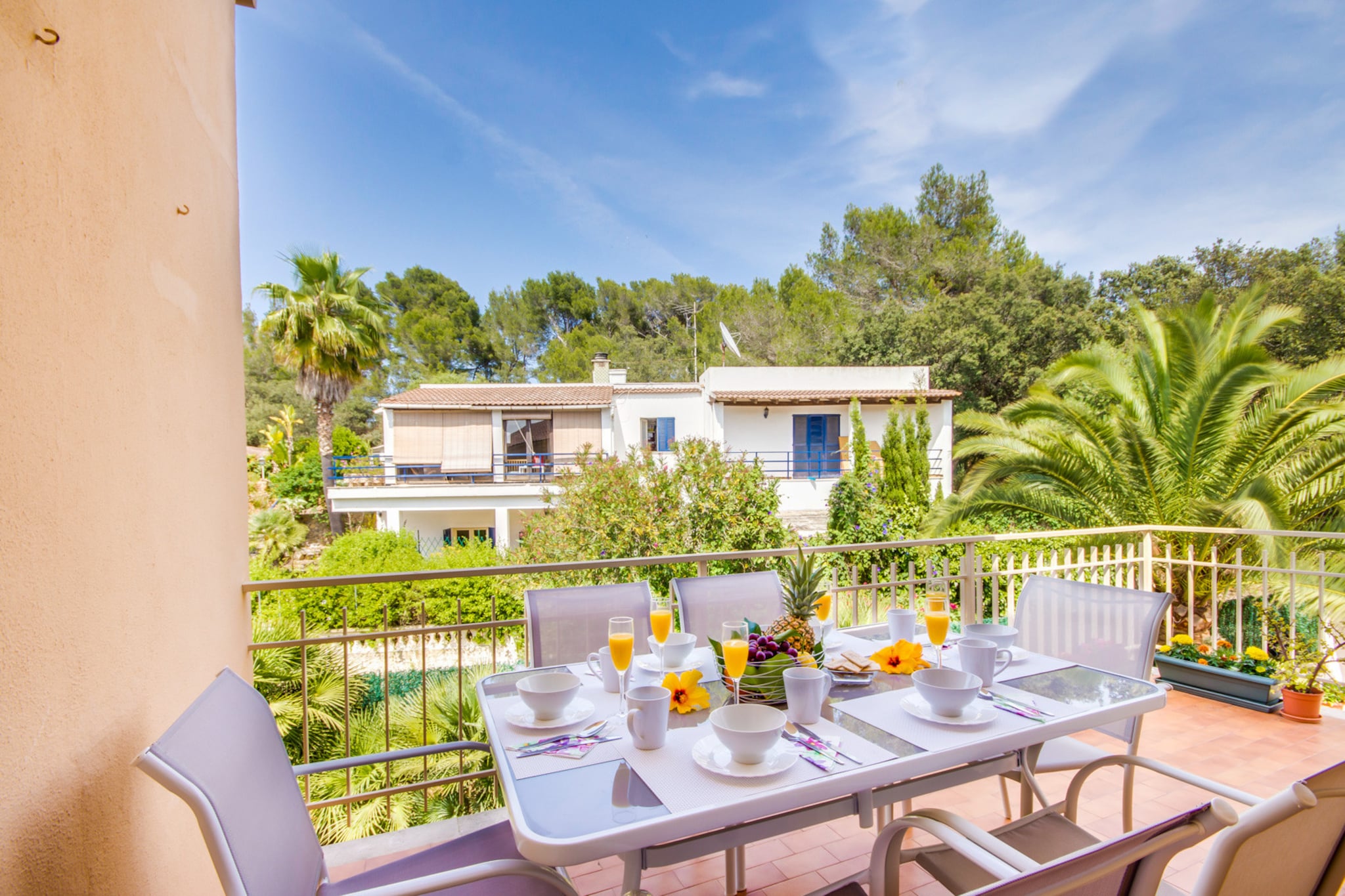 Amapola-View summer