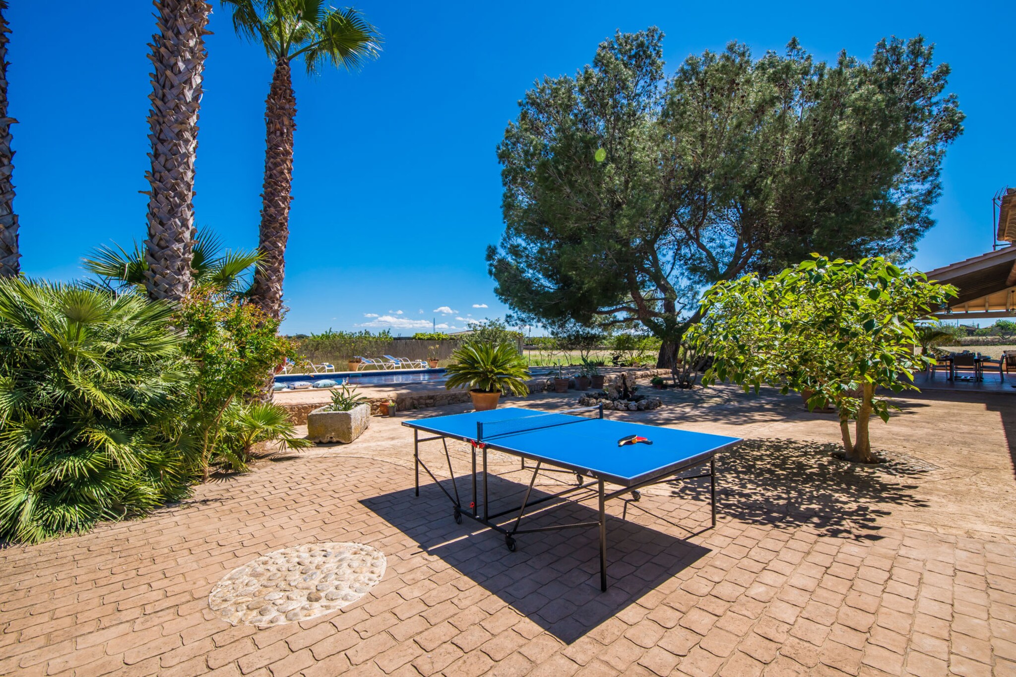Can Ribas-Terrasse
