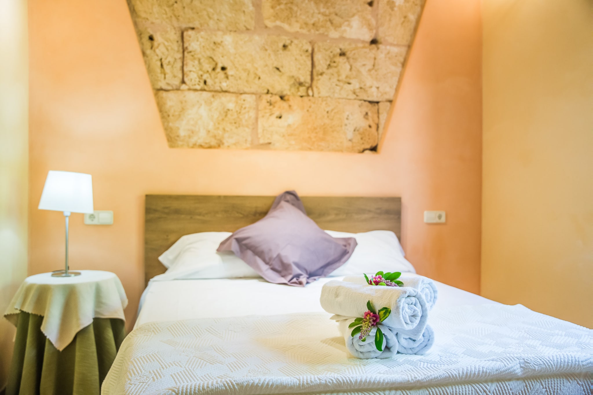 Can Ribas-Chambre