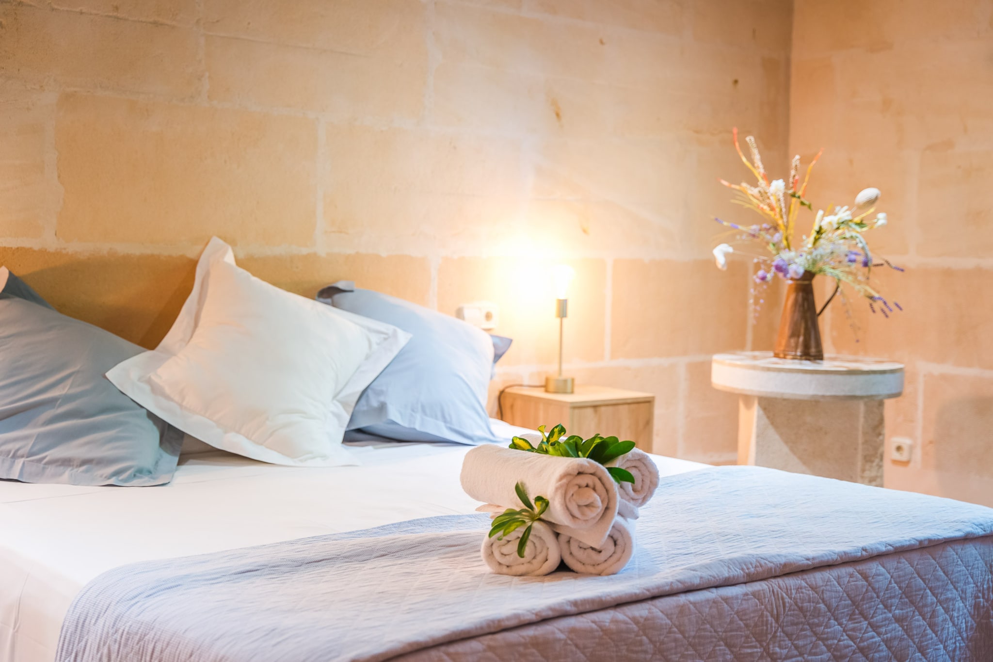 Can Ribas-Chambre
