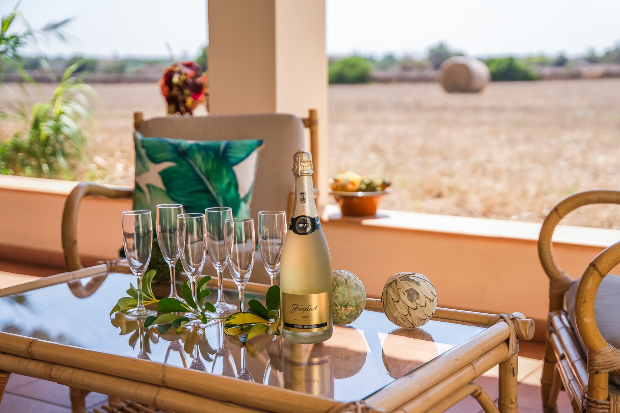 Can Ribas-Terrasse