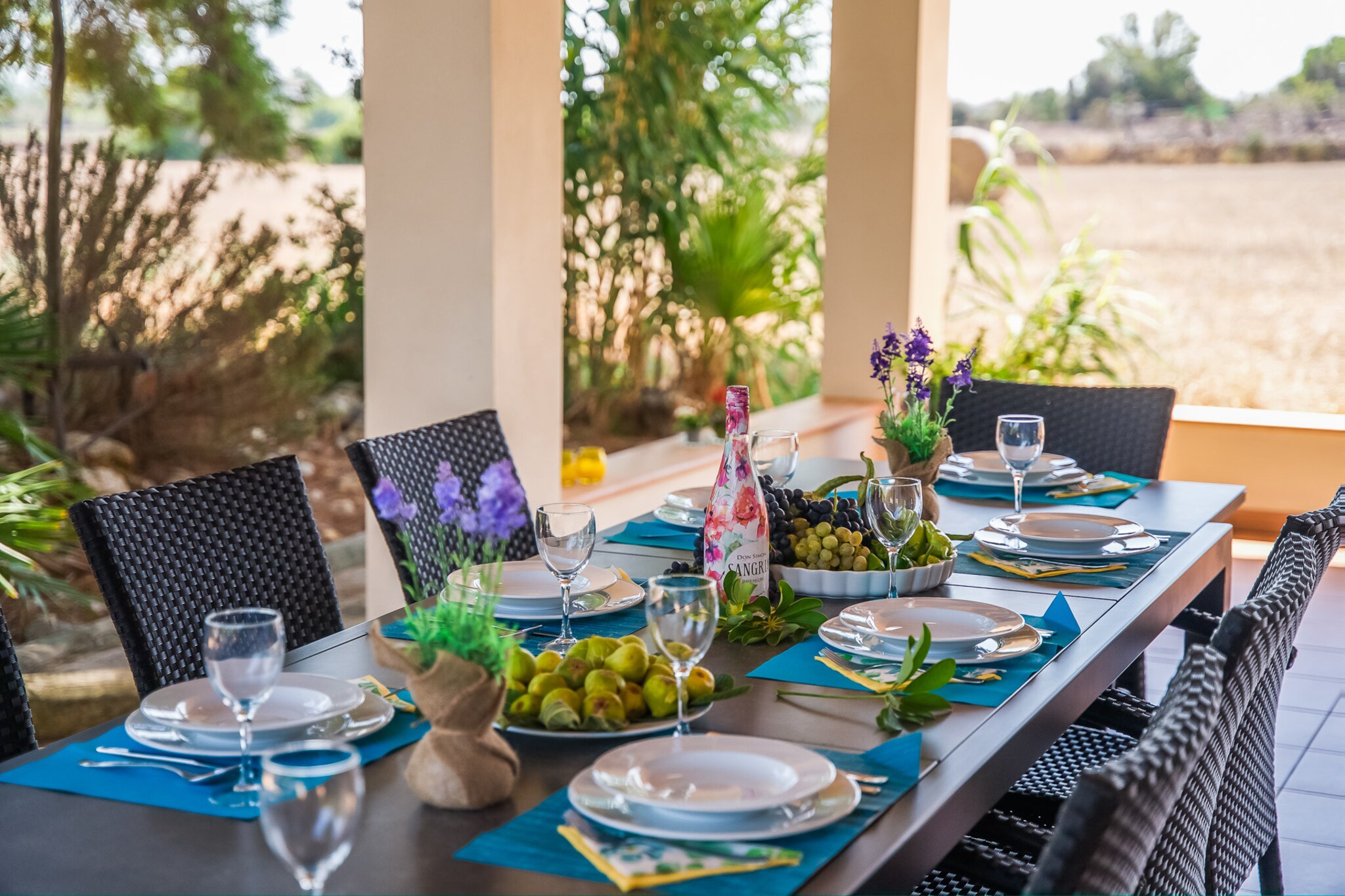 Can Ribas-Terrasse