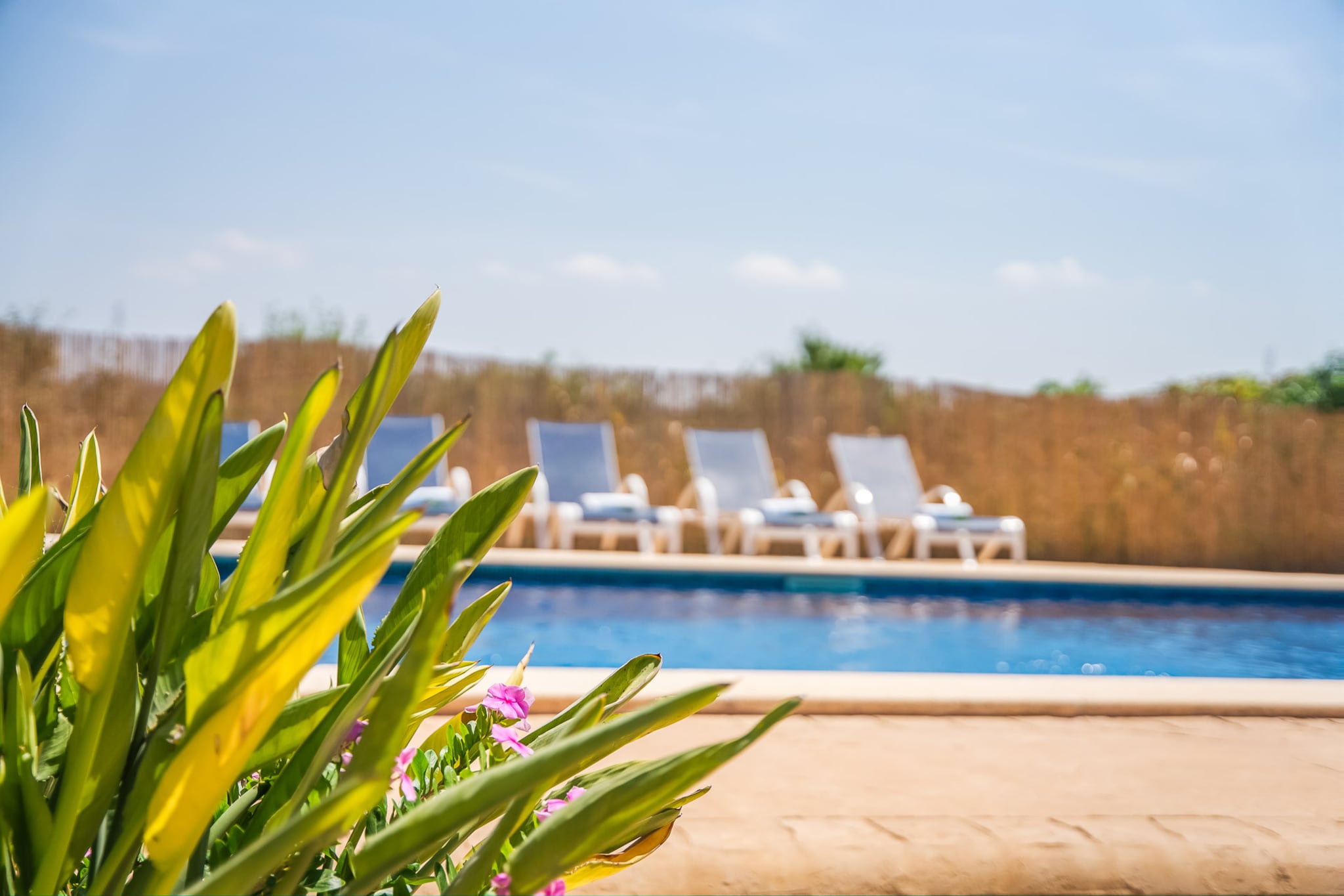 Can Ribas-Piscine