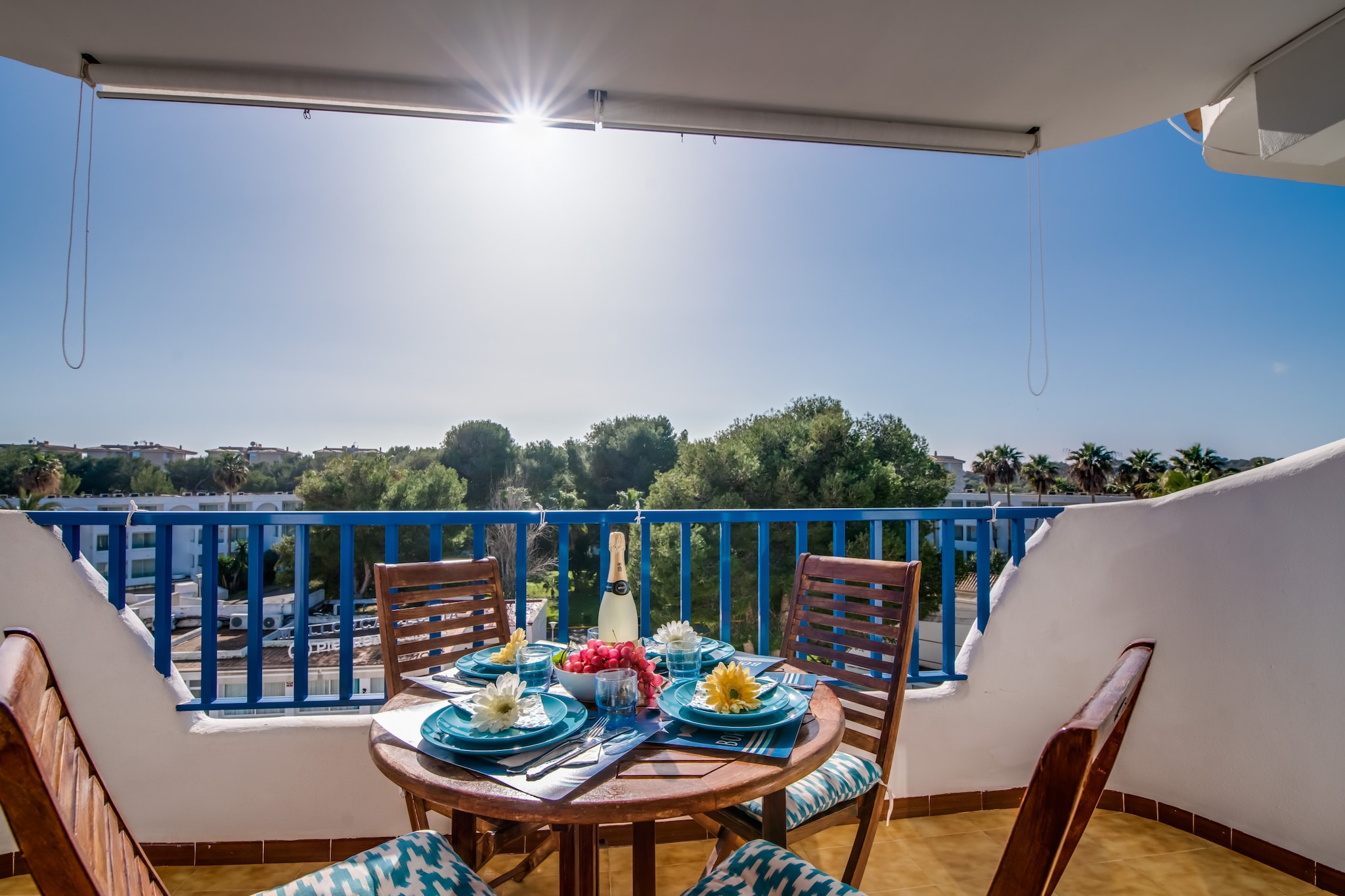 Posidonia-View summer