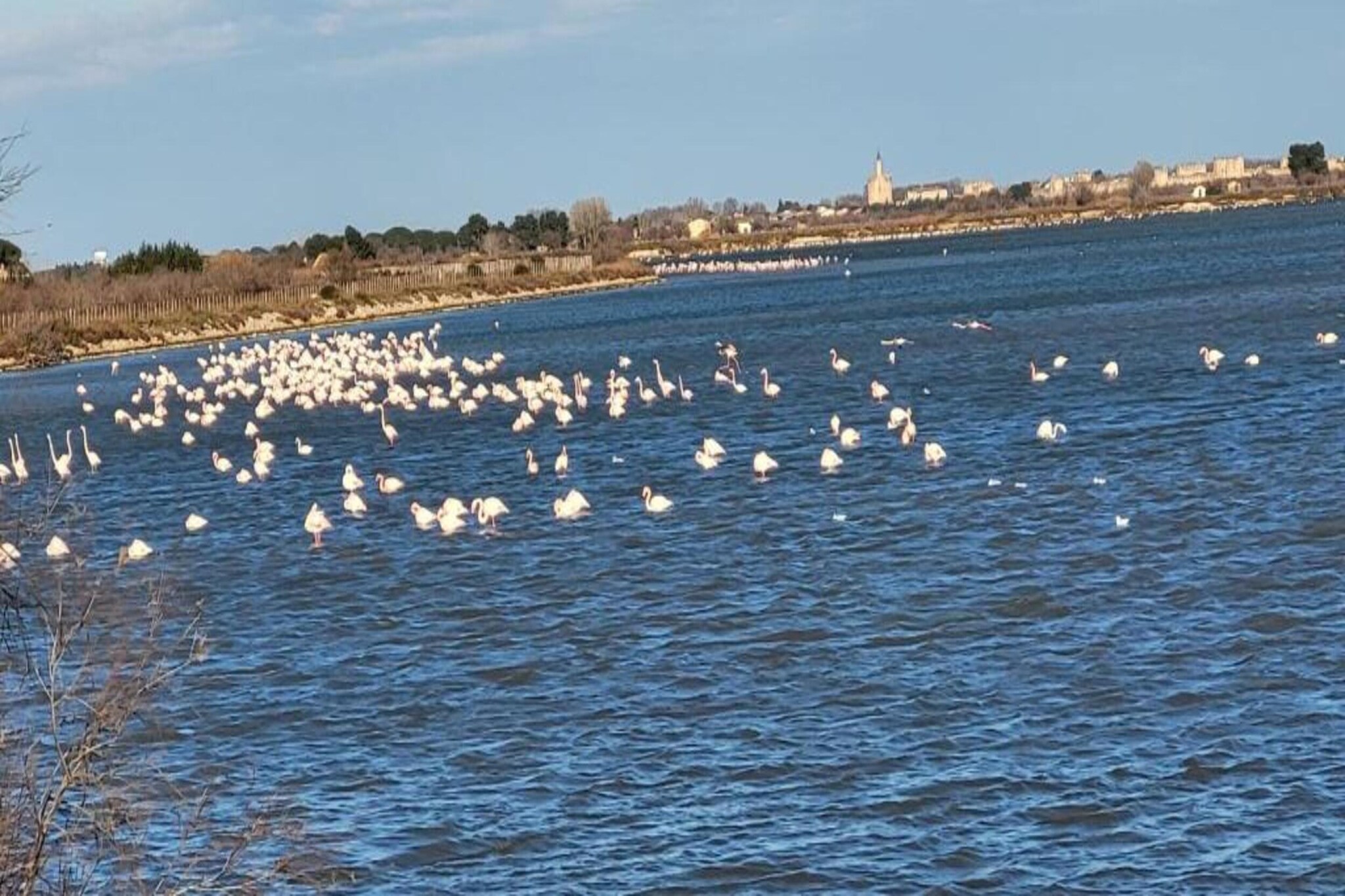 Cap Camargue B N 26 - 2P4-Gebieden zomer 20km
