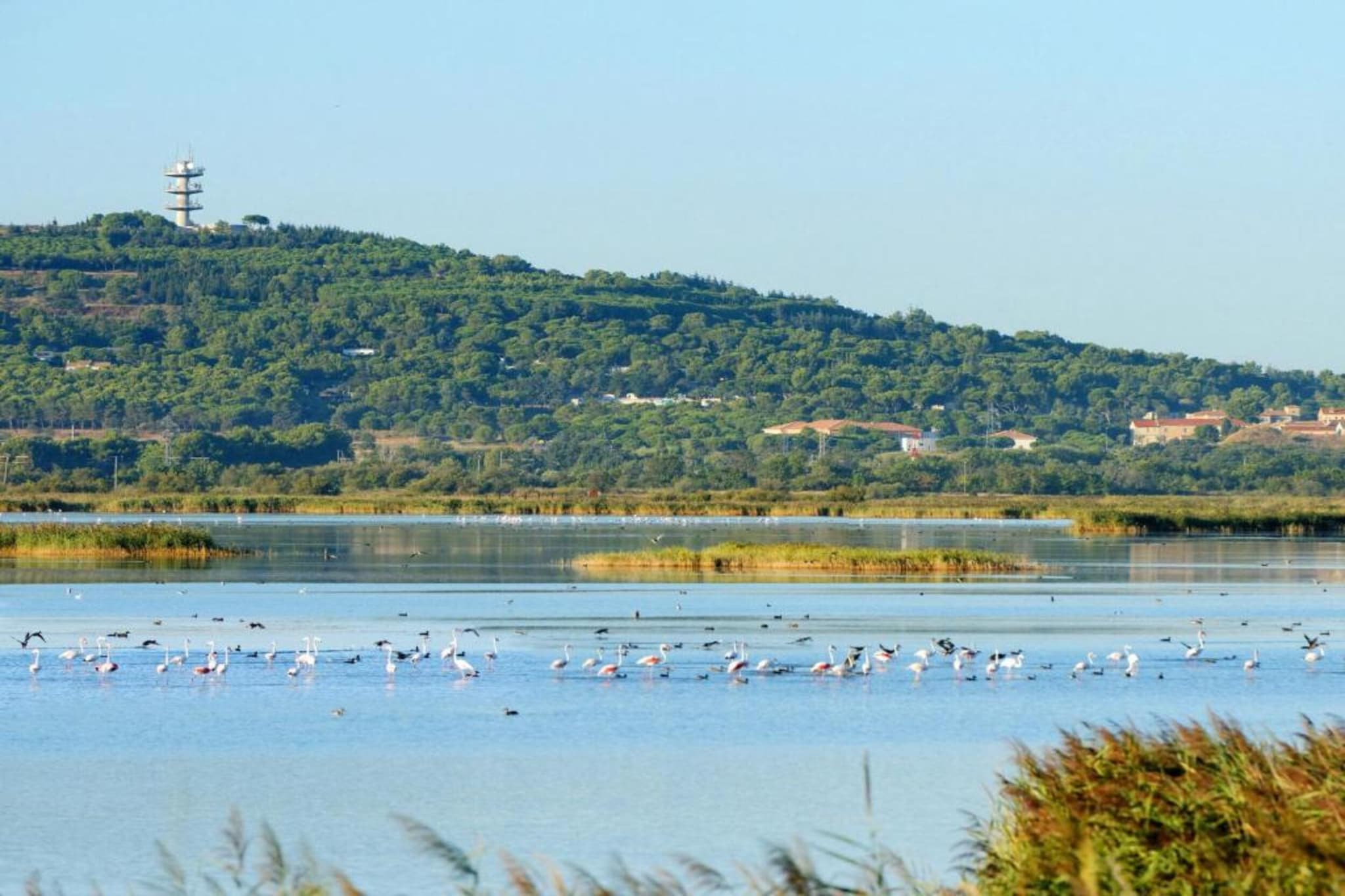 Le Lamparo N°201 - 2P4-Gebieden zomer 20km