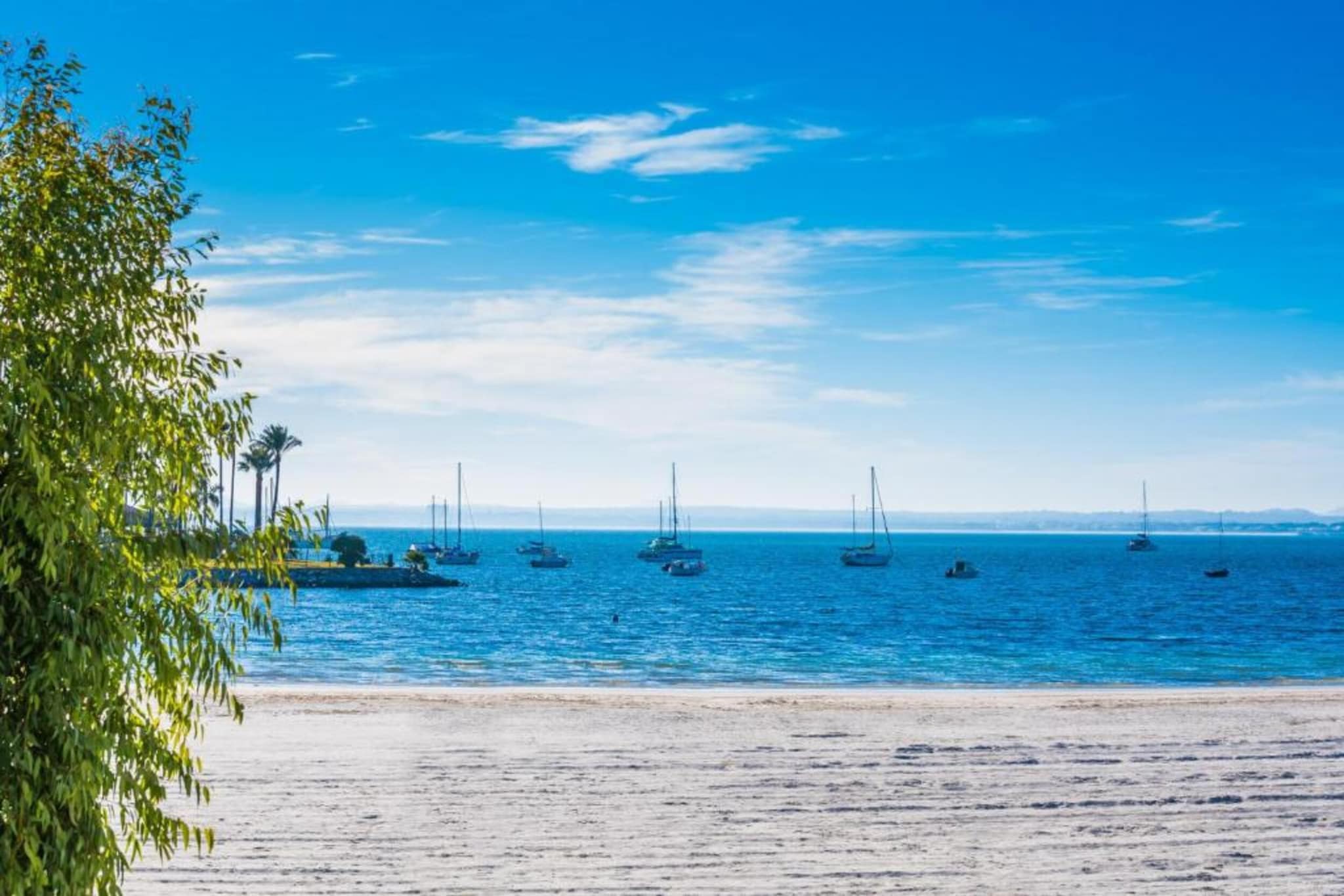Alcudia Beach-Gebieden zomer 1km