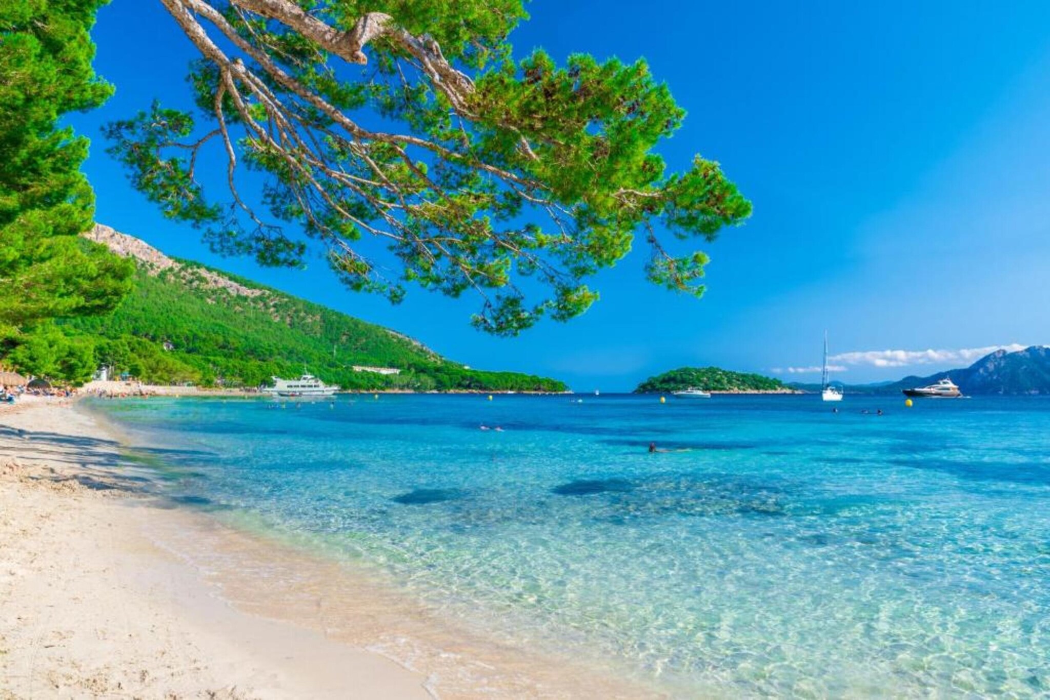 Blue Bay-Gebieden zomer 1km