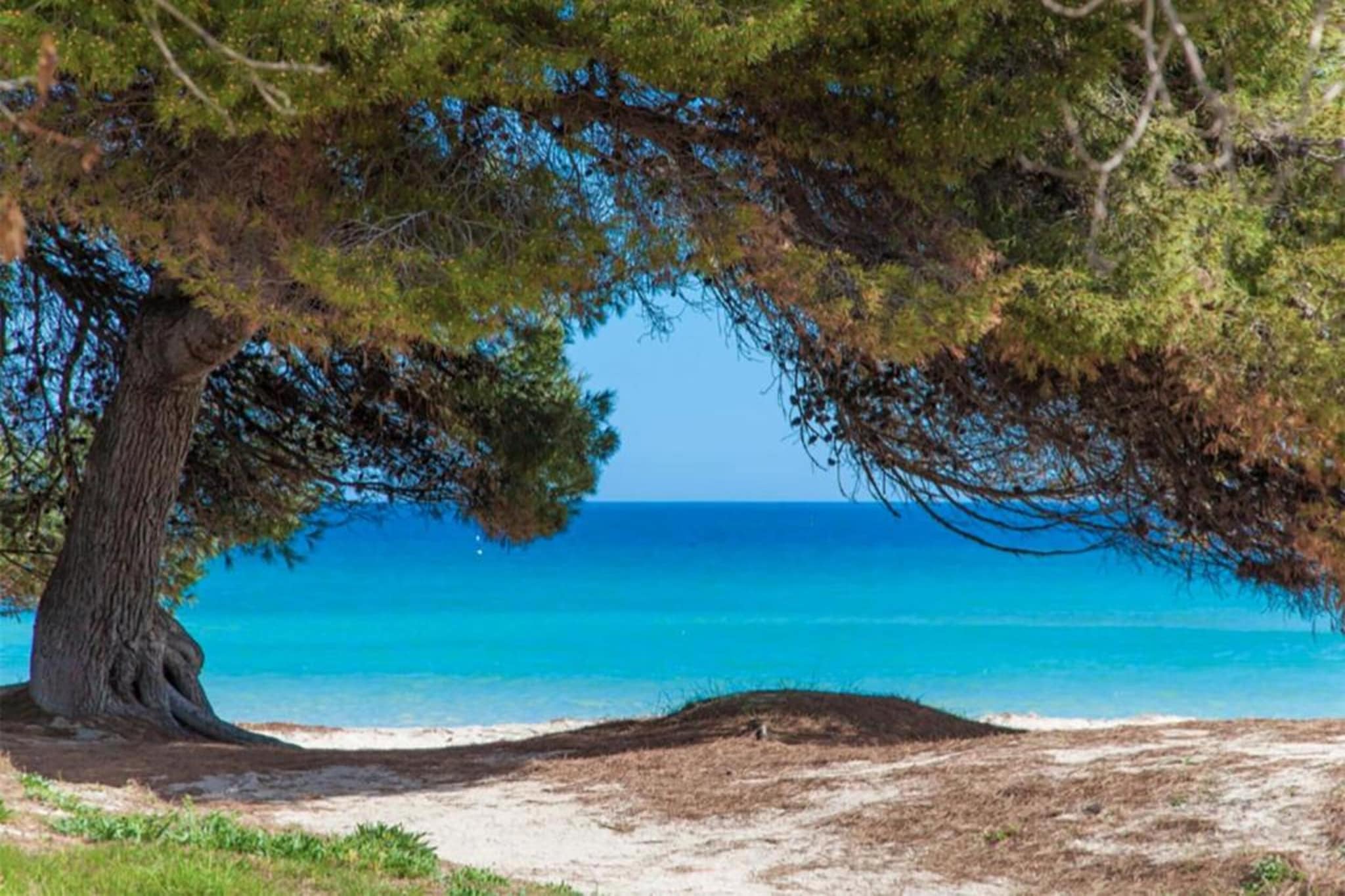 Apartamento playa  Planta baja 3.2-Gebieden zomer 1km
