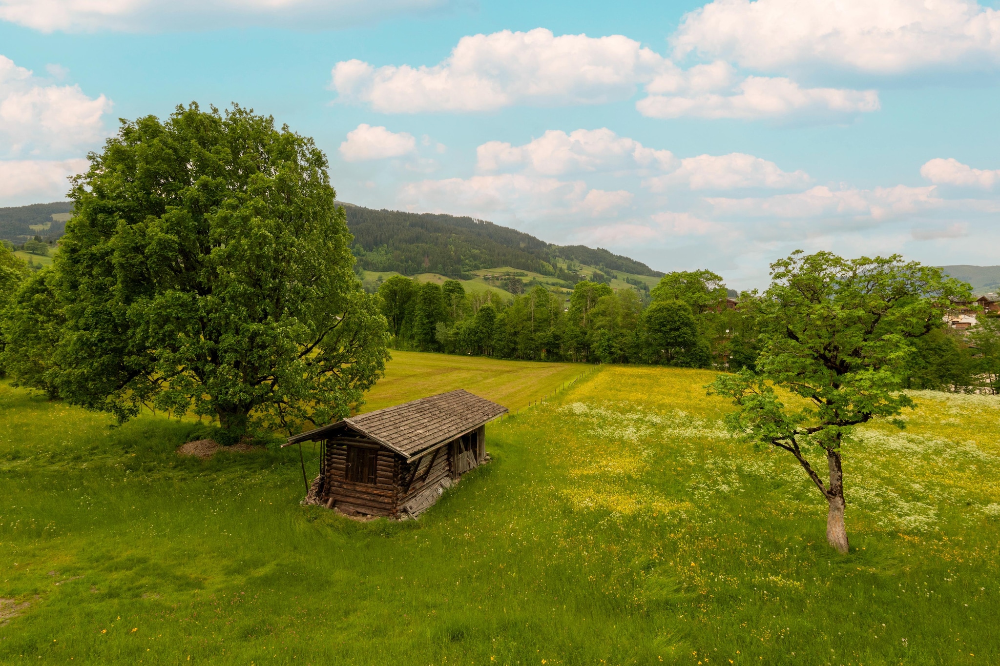 Penthouse Fuchs 1 - Aussicht Sommer