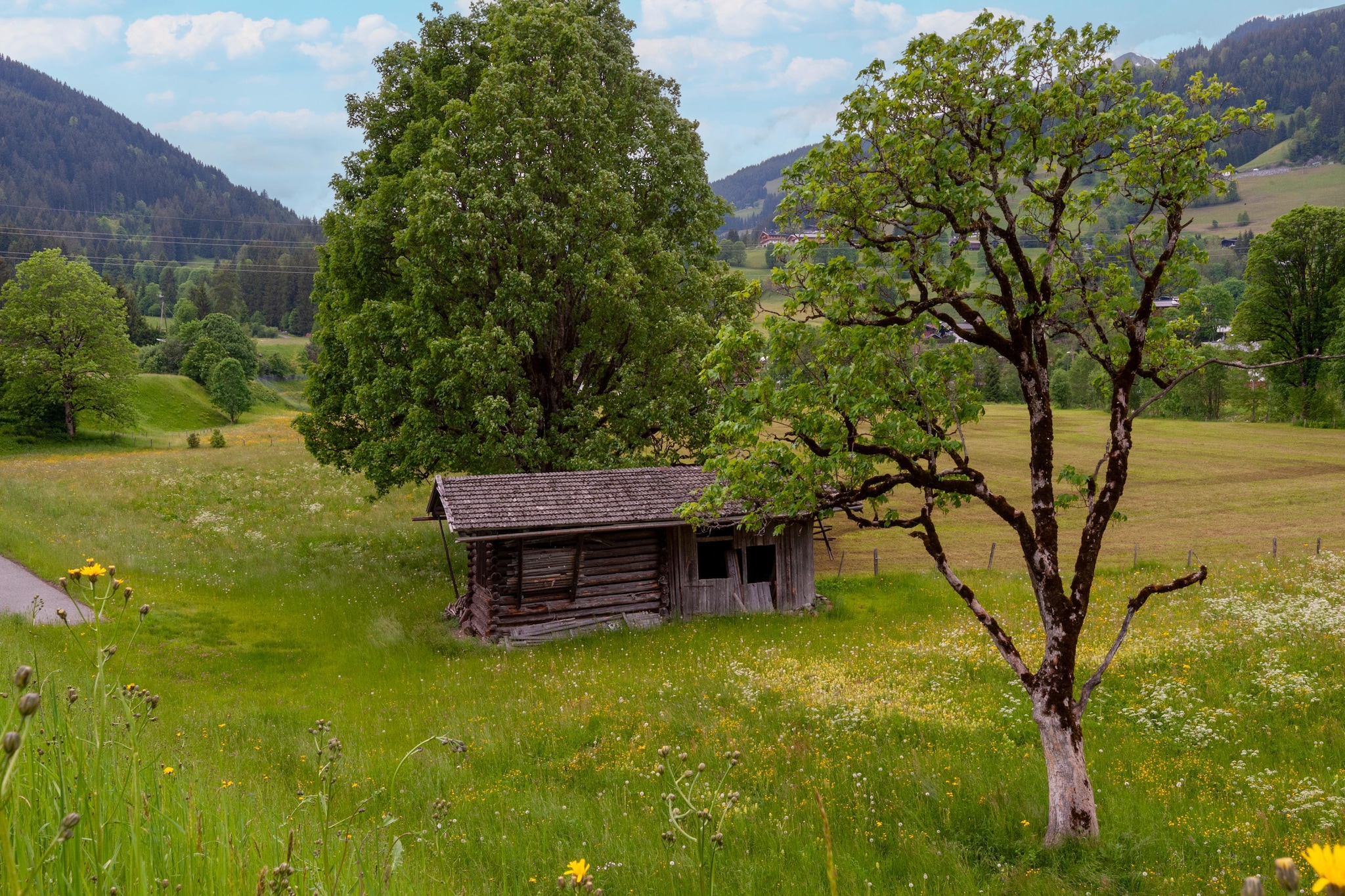 Penthouse Fuchs 1 - Gebiete Sommer 1 km
