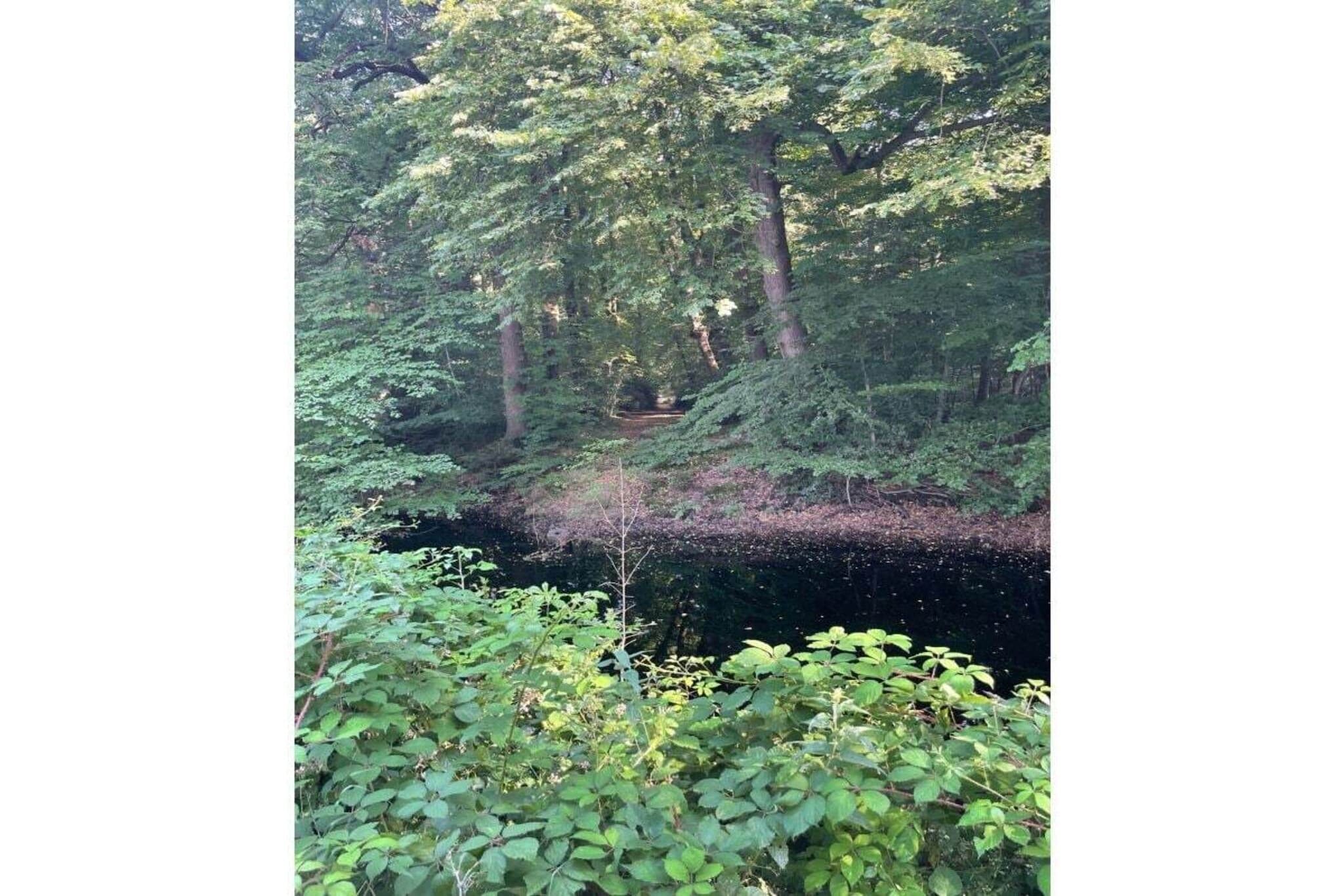 515868-Image-tags.water view