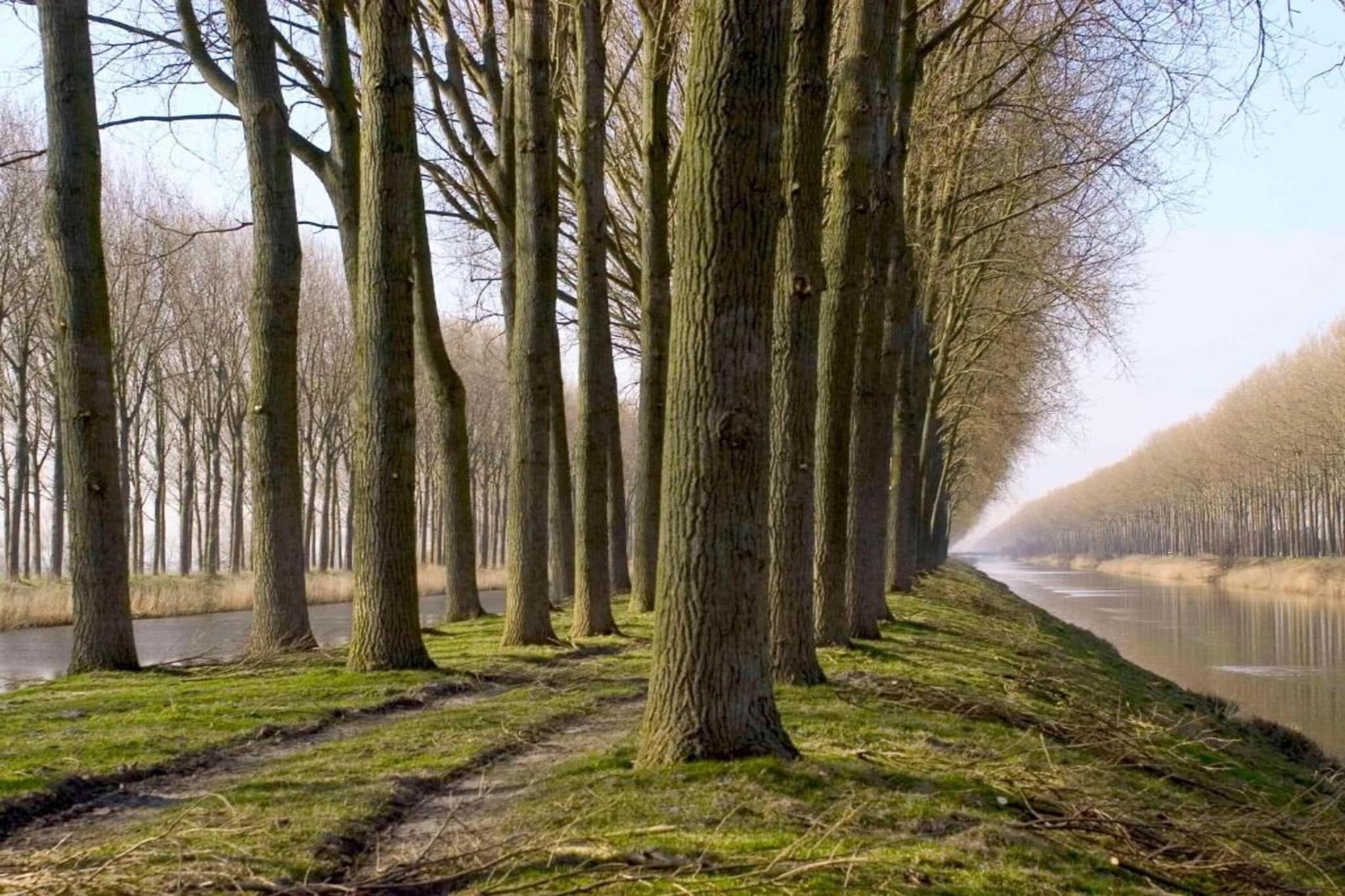 COQOON/0101-Gebieden zomer 20km