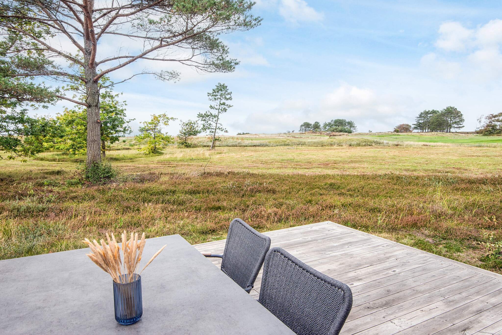 Læsø Essence – A Taste of Island Life - View