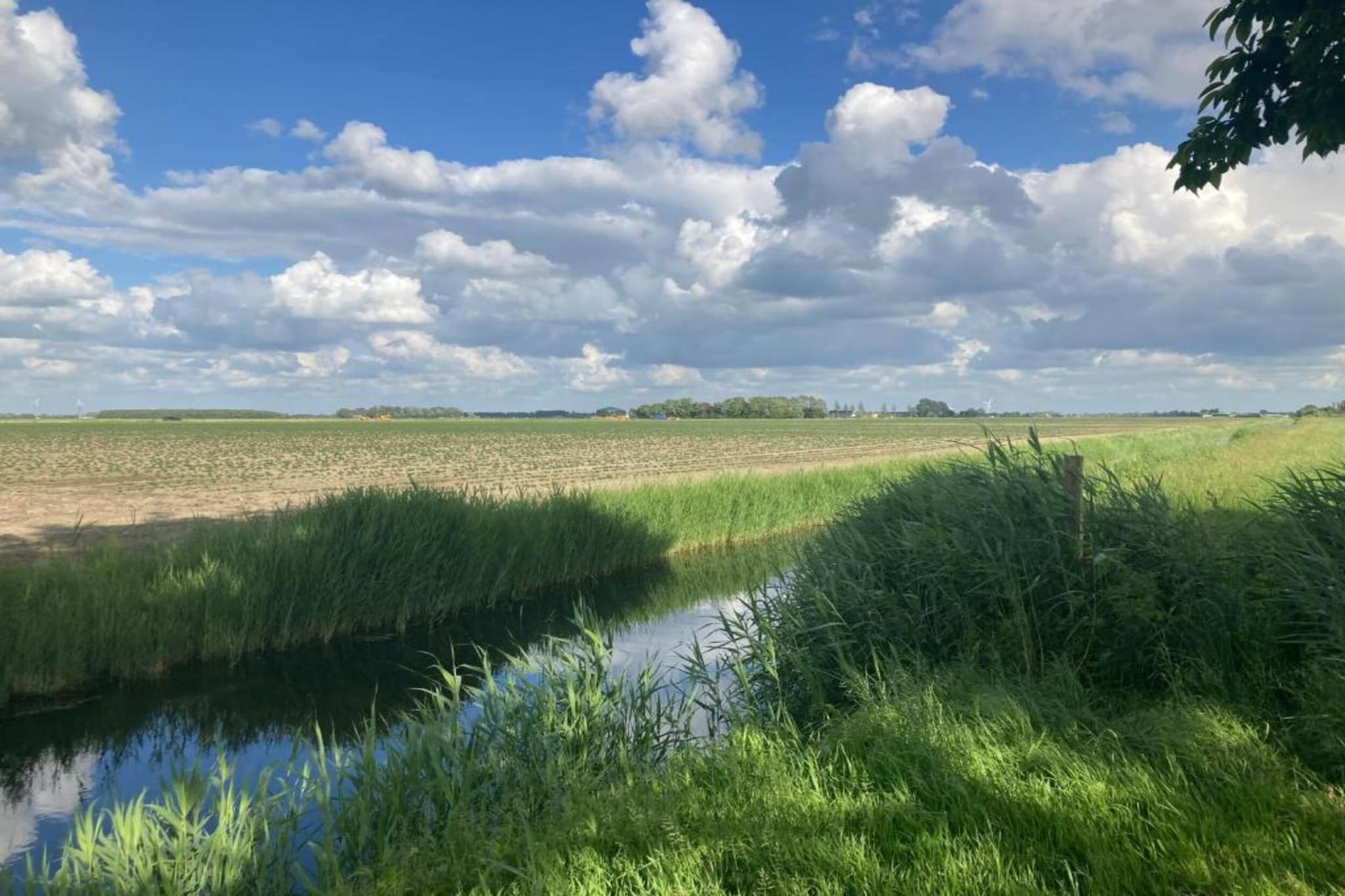 VT 151-Gebieden zomer 20km