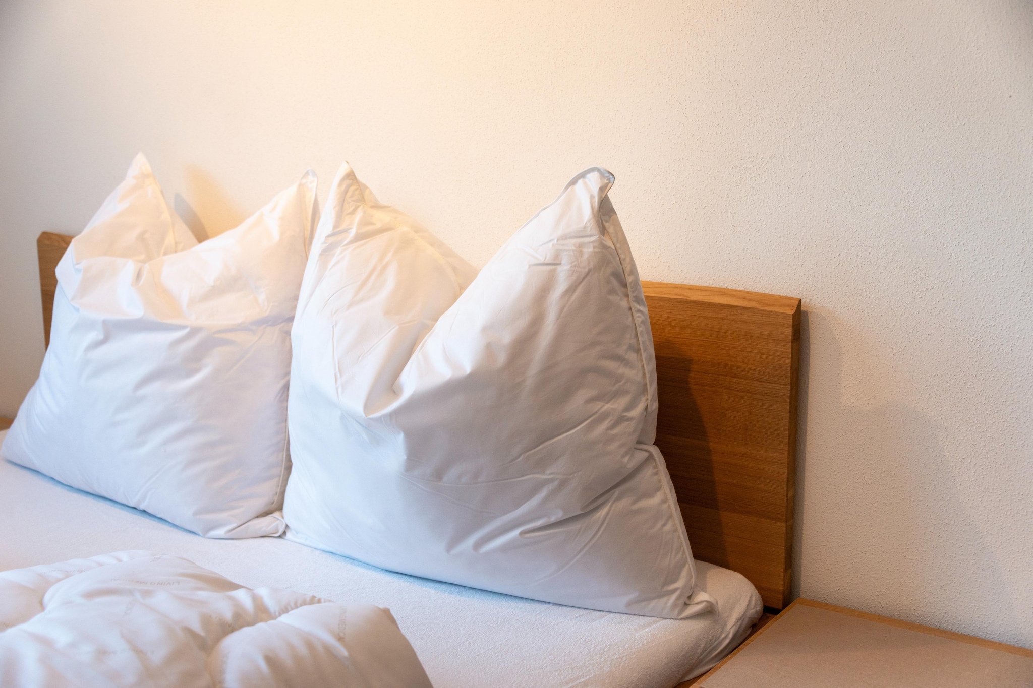 Penthouse Fuchs 2-Slaapkamer
