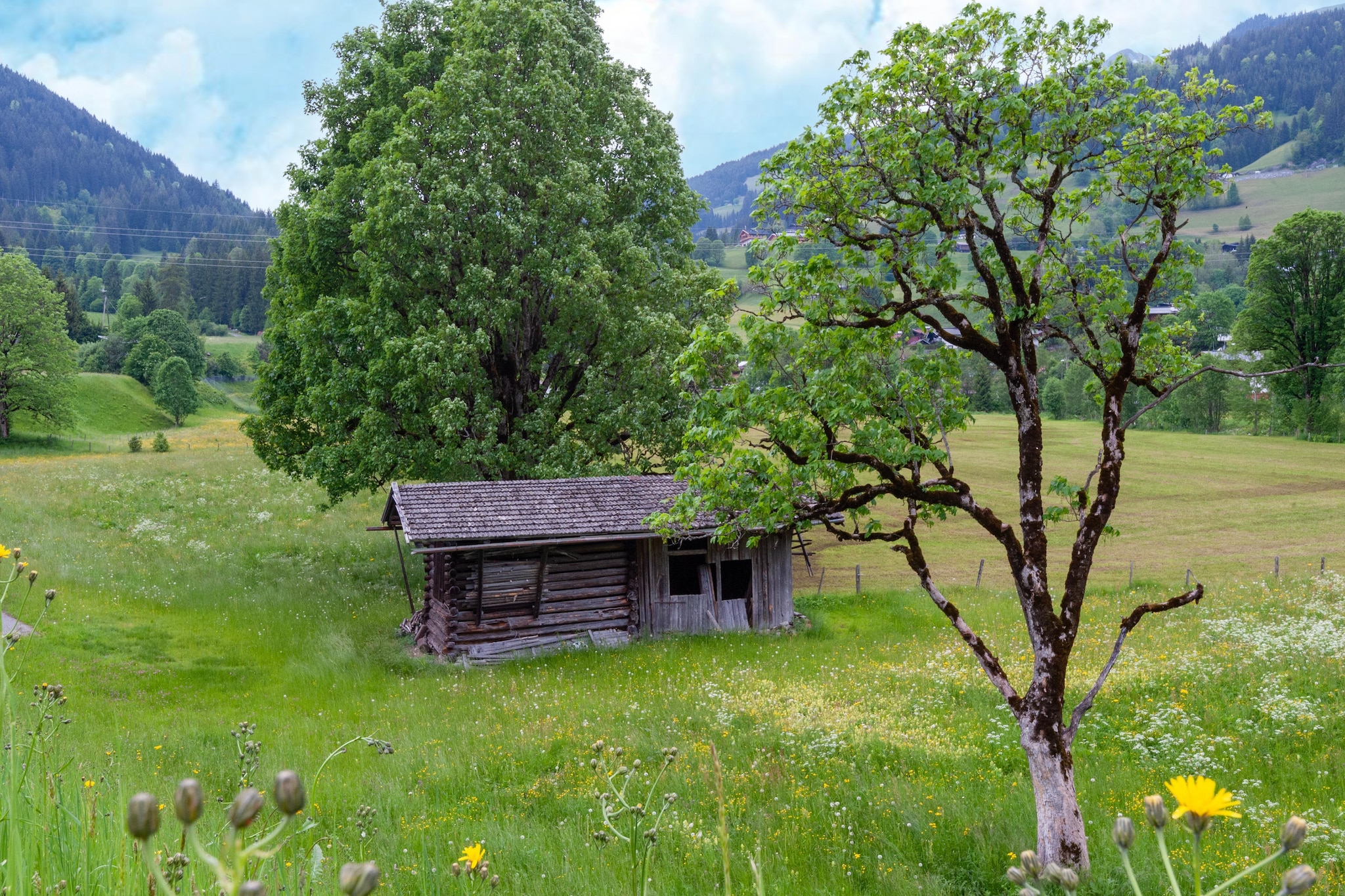 Penthouse Fuchs 2-Tuinen zomer