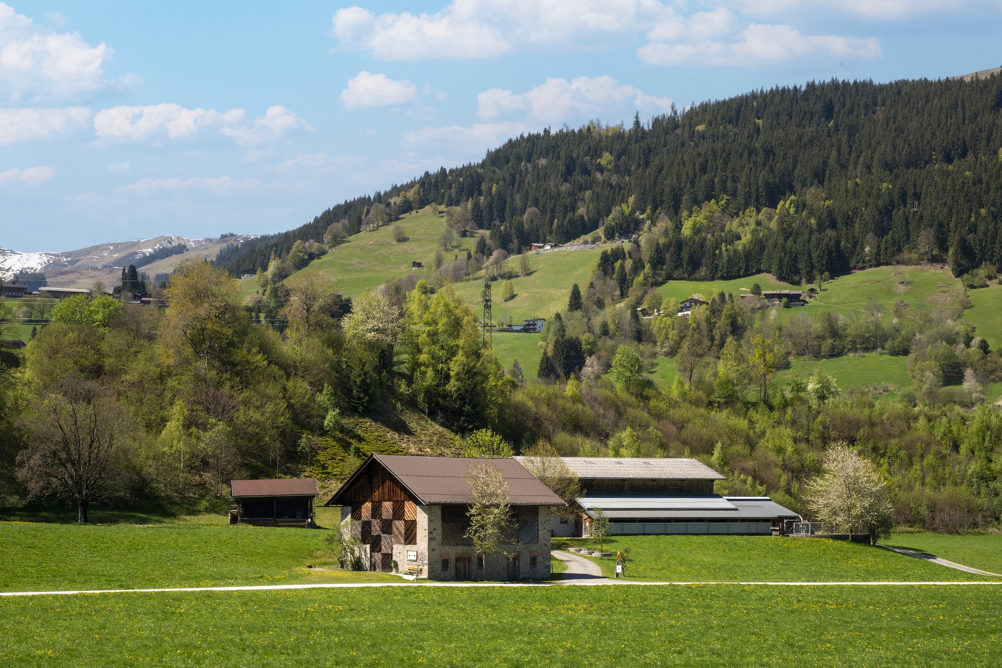 Penthouse Fuchs 2 - Gebiete Sommer 5 km