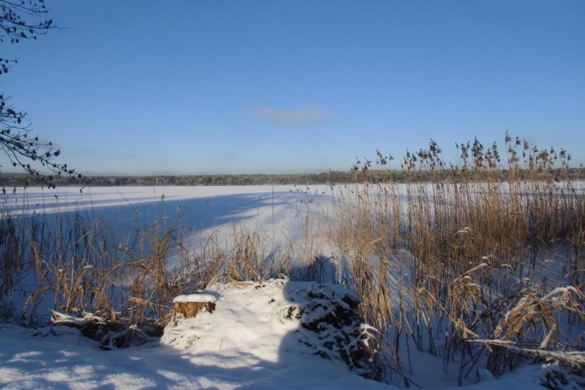 Ferienhäuschen in Schwerin-Gebied winter 20km