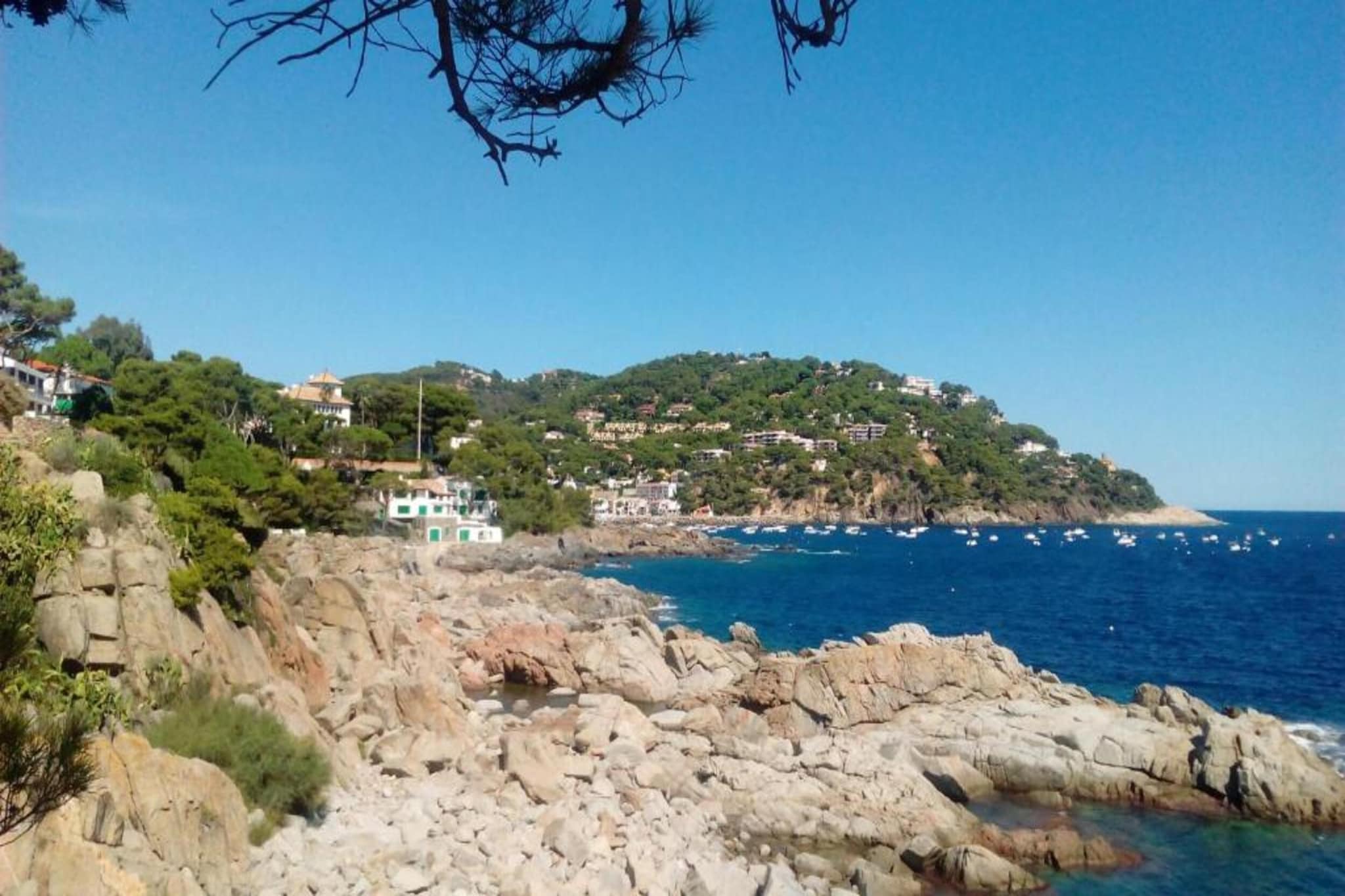 Ancora 14 B-1-Gebieden zomer 20km