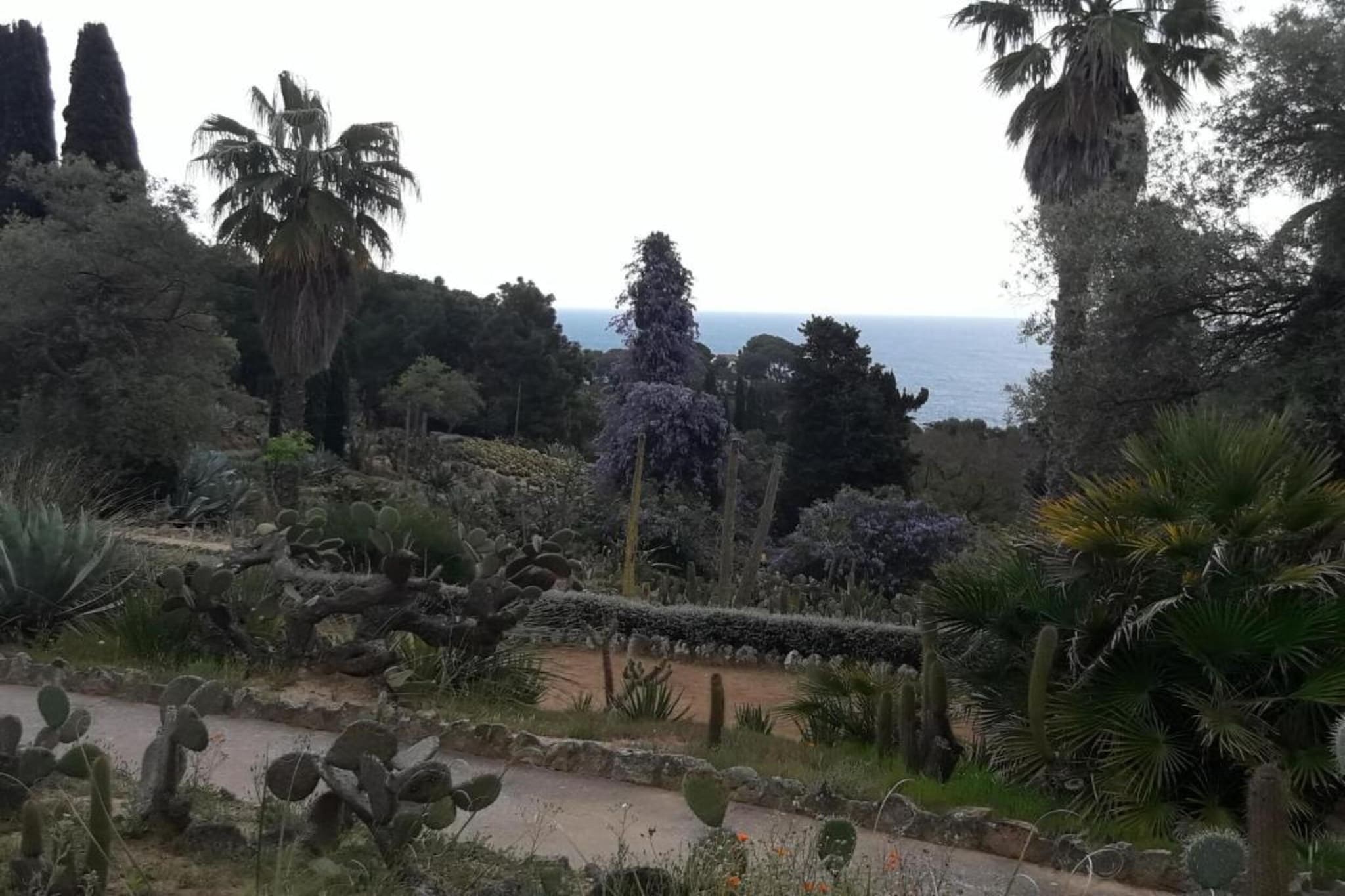 Cipresos 14pax-Gebieden zomer 20km