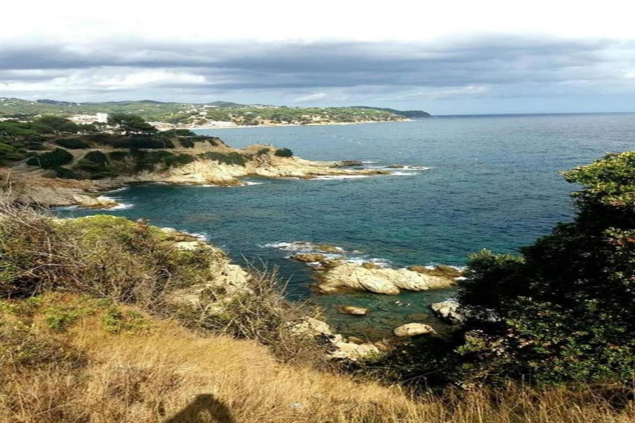 Conchi-Areas summer 20km