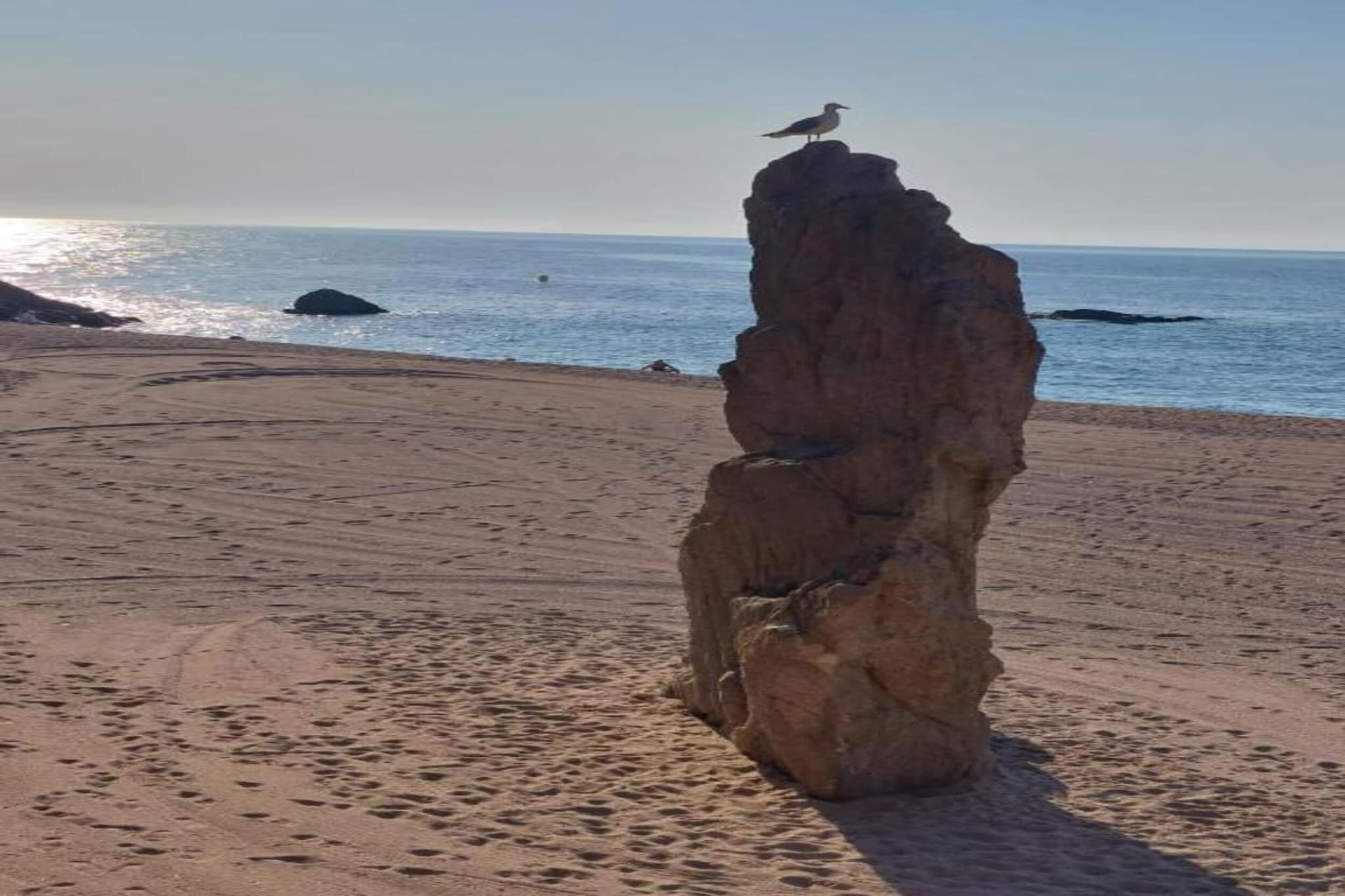 Conchi-Areas summer 20km
