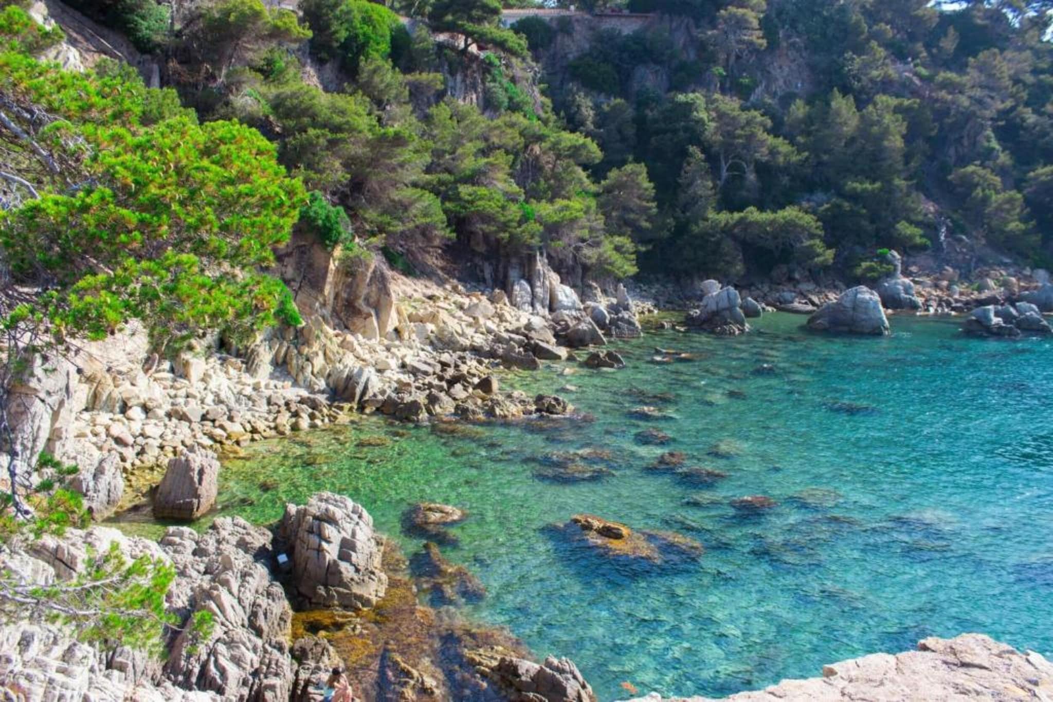 Conchi-Areas summer 20km