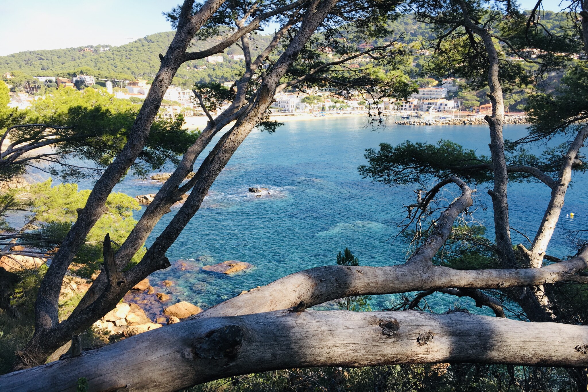 Costa Brava E-4-Areas summer 1km