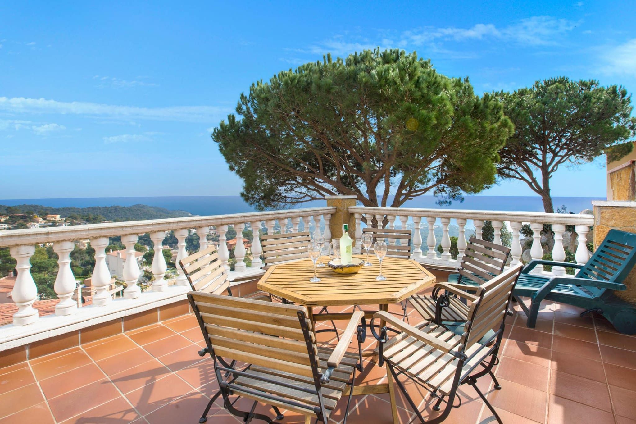 Crisantemo-Terrasbalkon