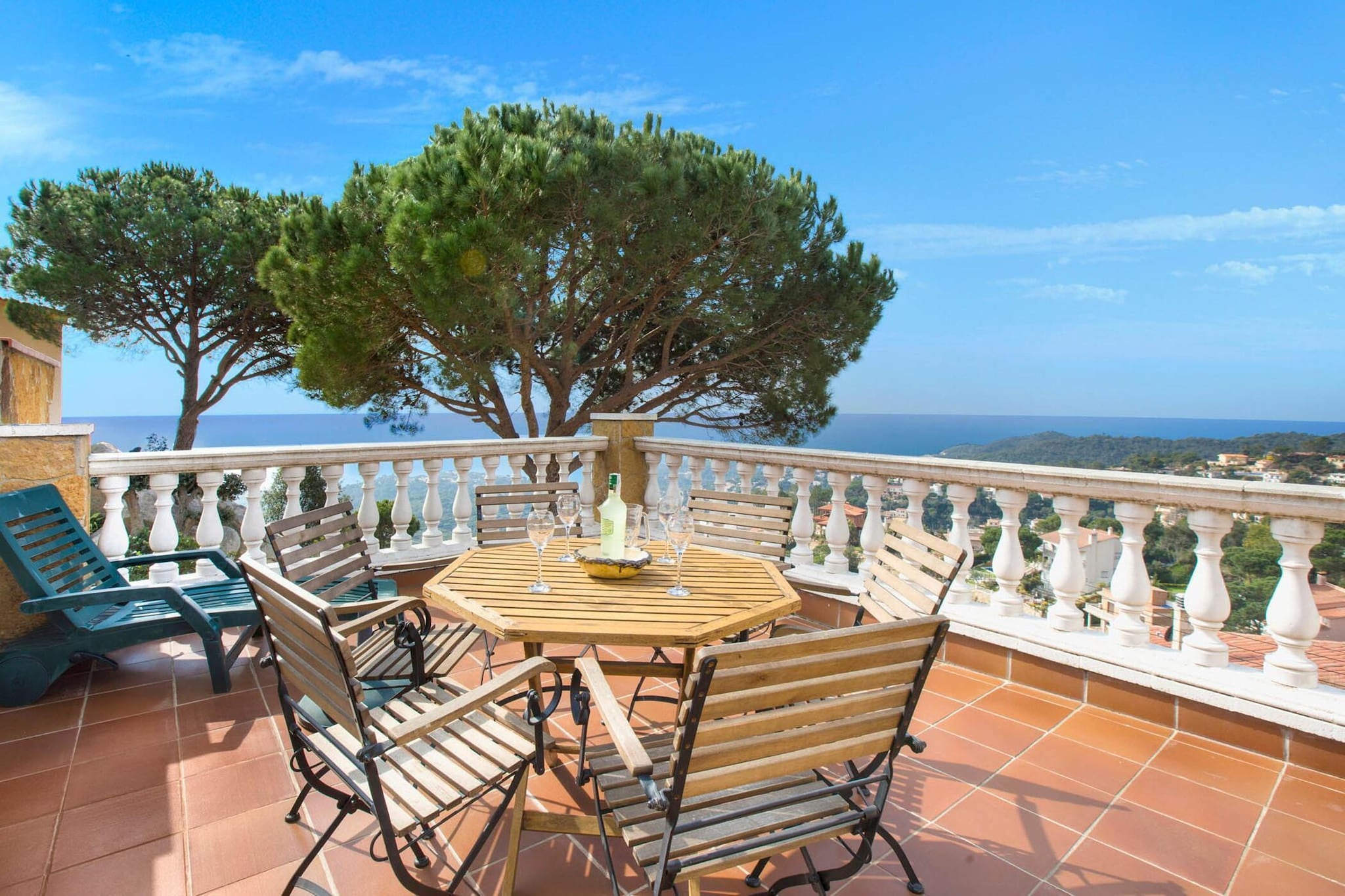 Crisantemo-Terrasbalkon