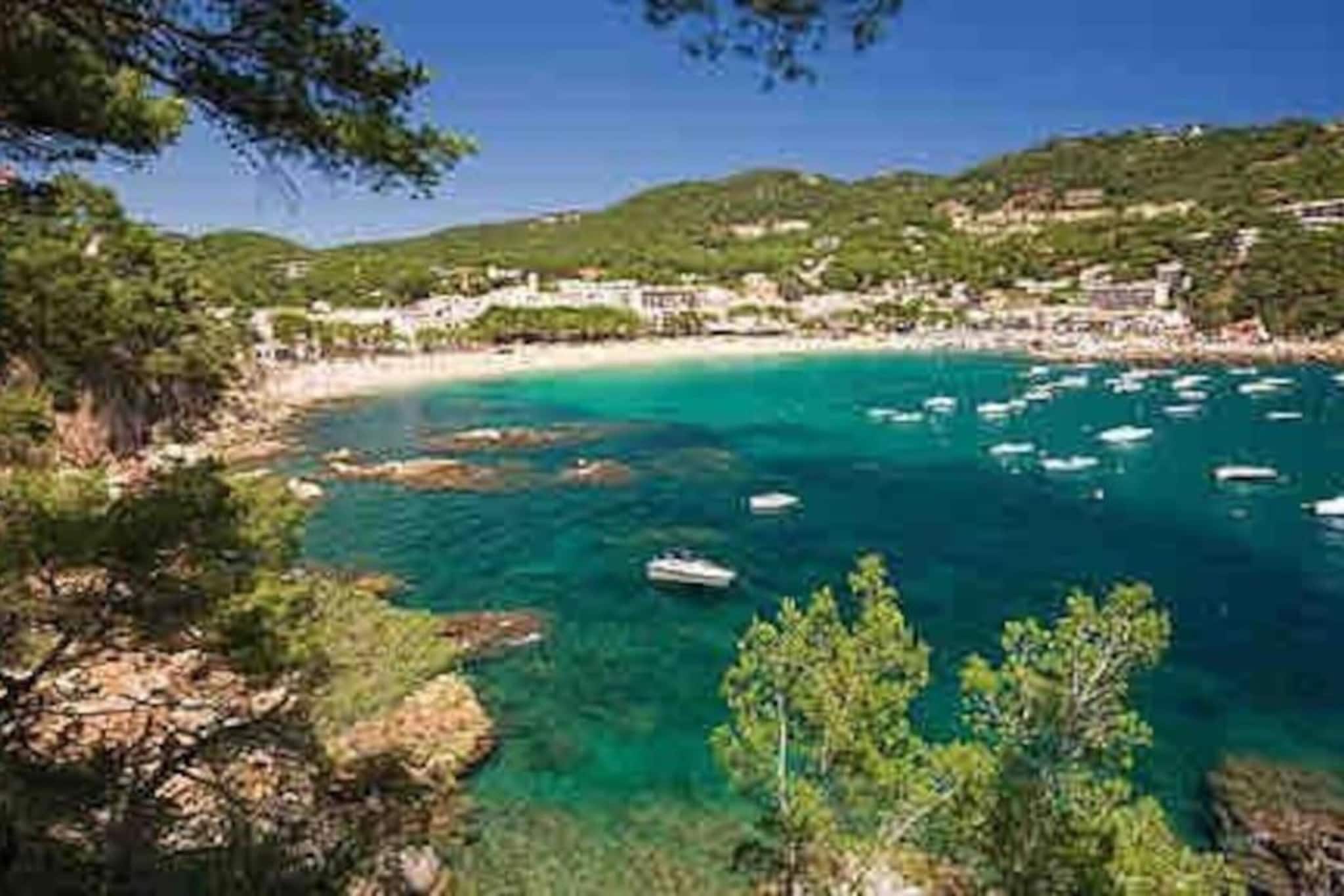 Ferran-Gebieden zomer 20km