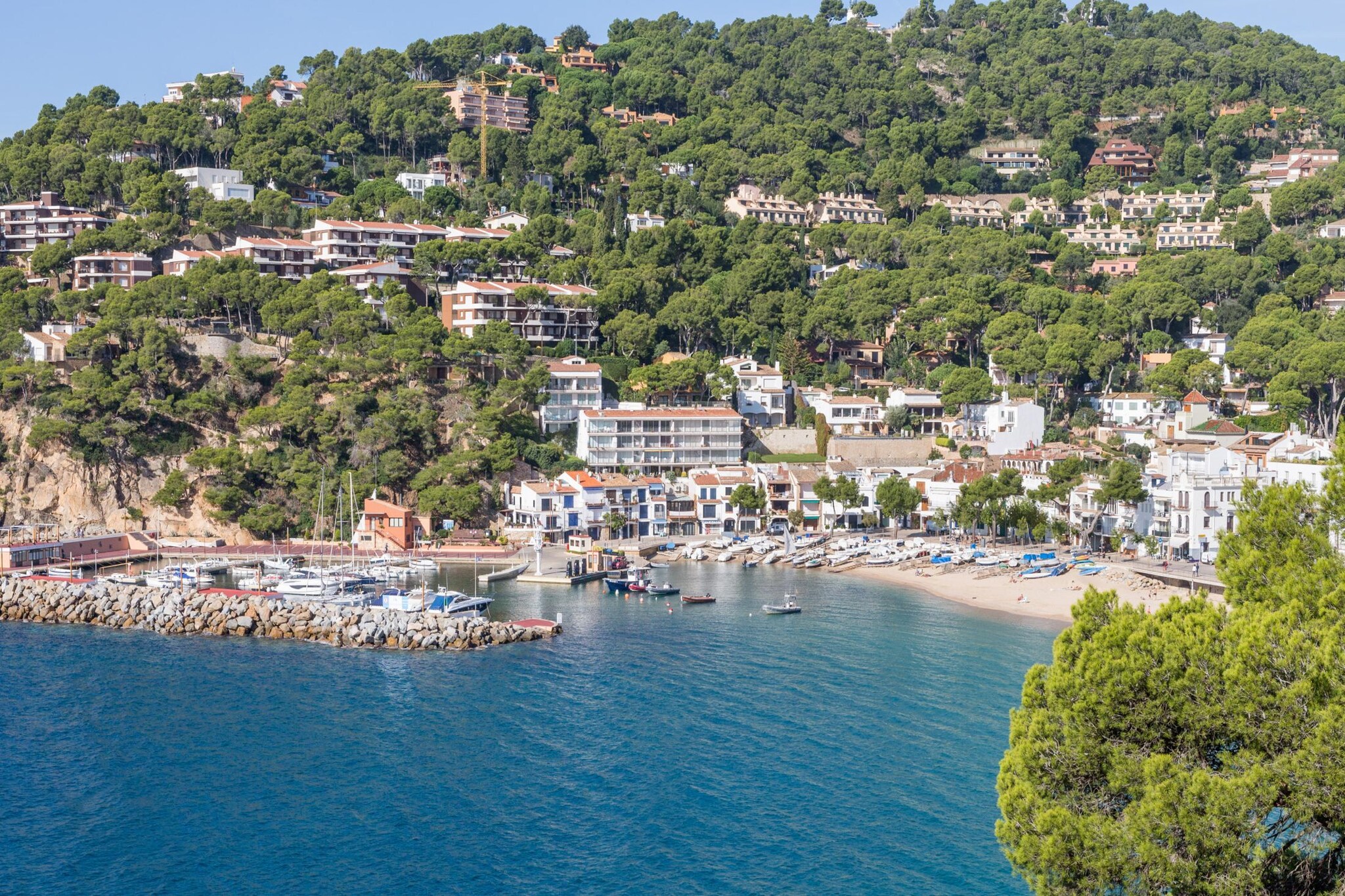 Gregal-Areas summer 20km