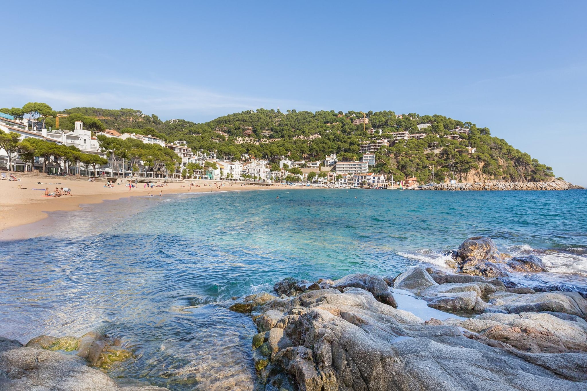 Kim-Gebieden zomer 5km