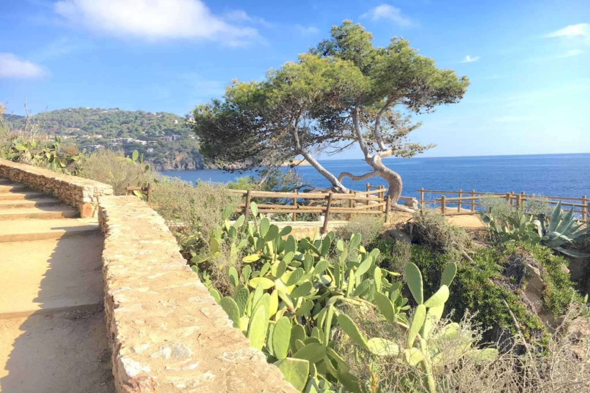 Montserrat-Gebieden zomer 20km