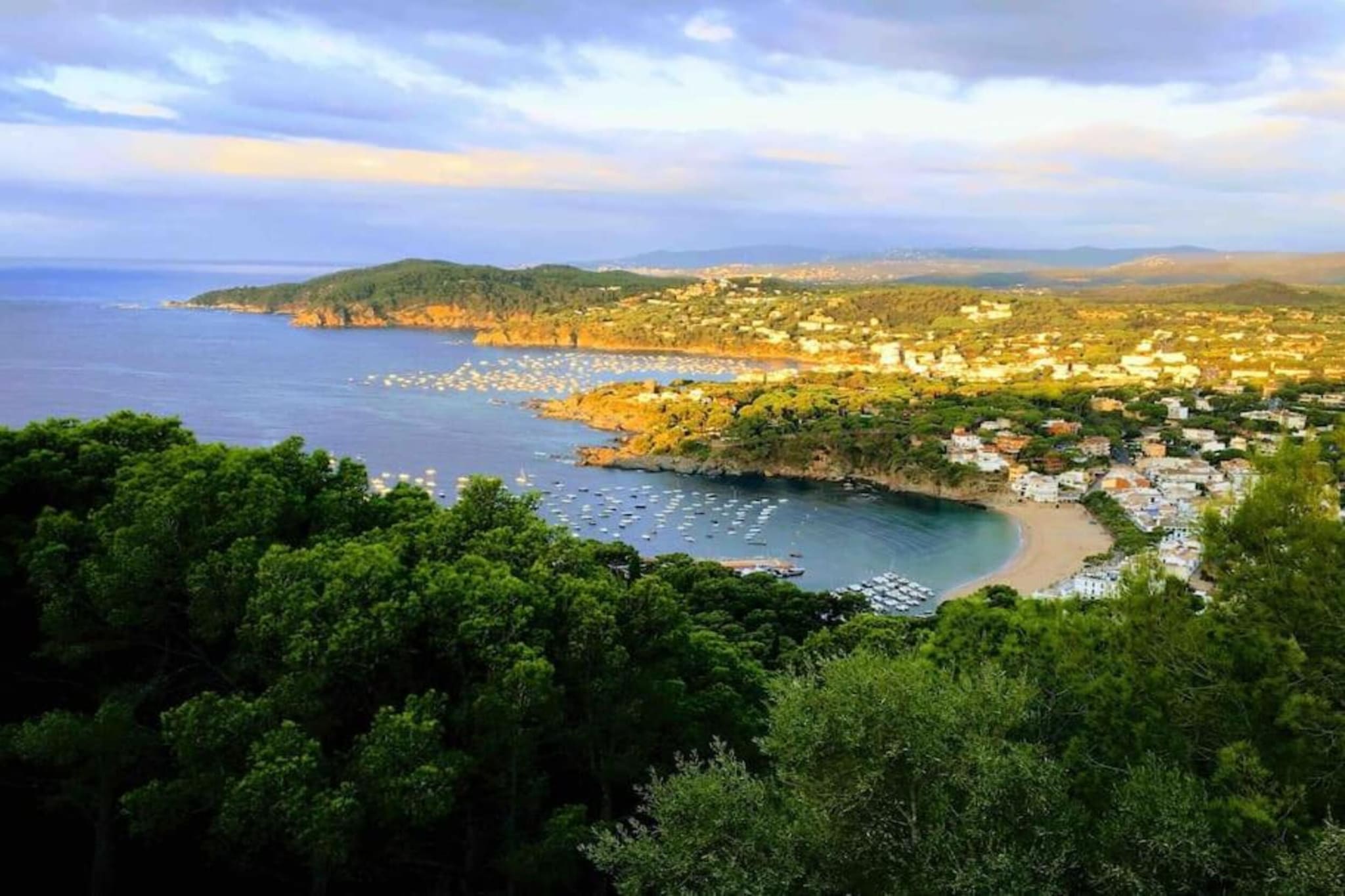 Pruneda-Areas summer 20km