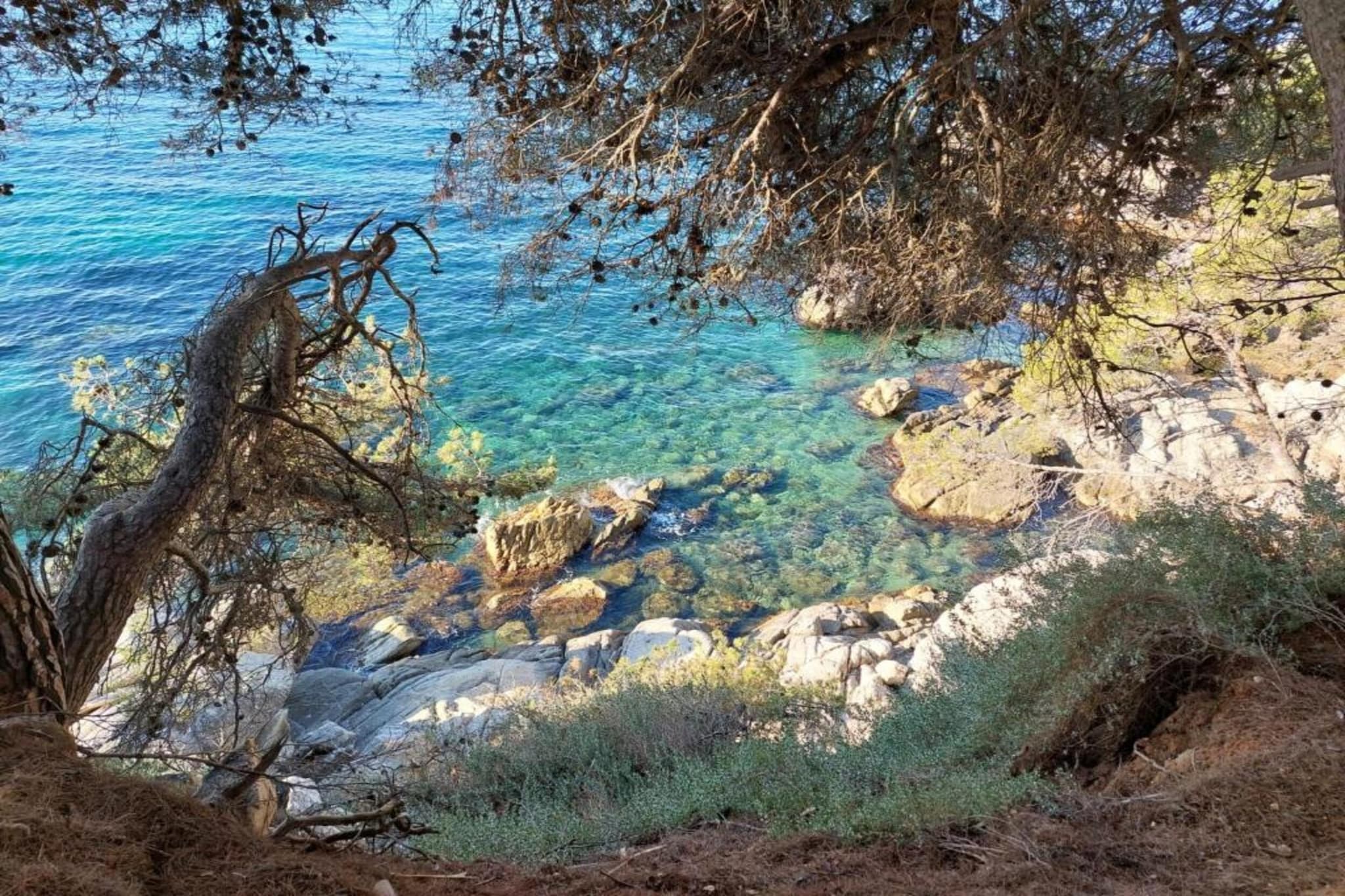 Santa Cristina-Gebieden zomer 5km