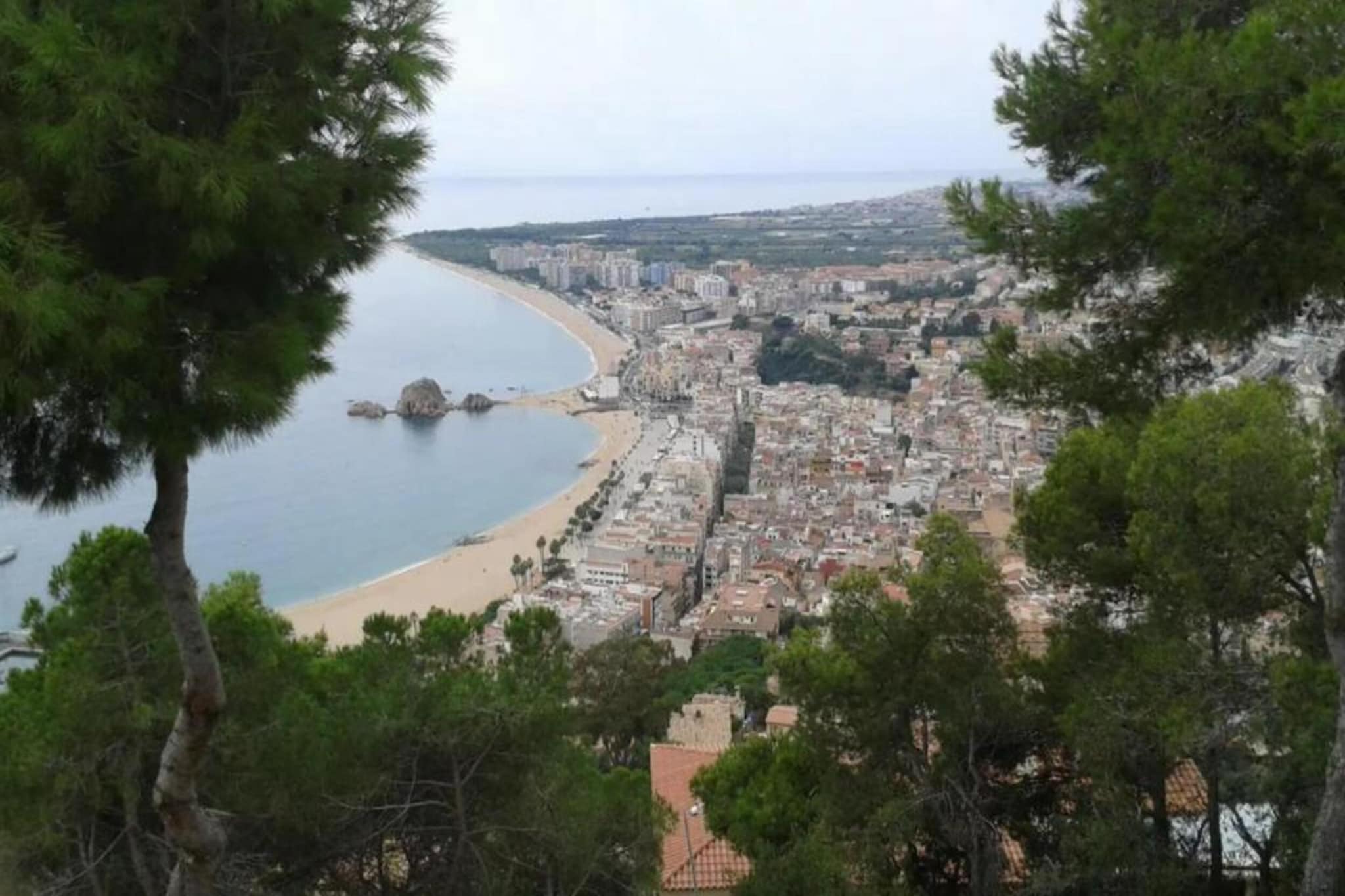 Tensi-Areas summer 20km