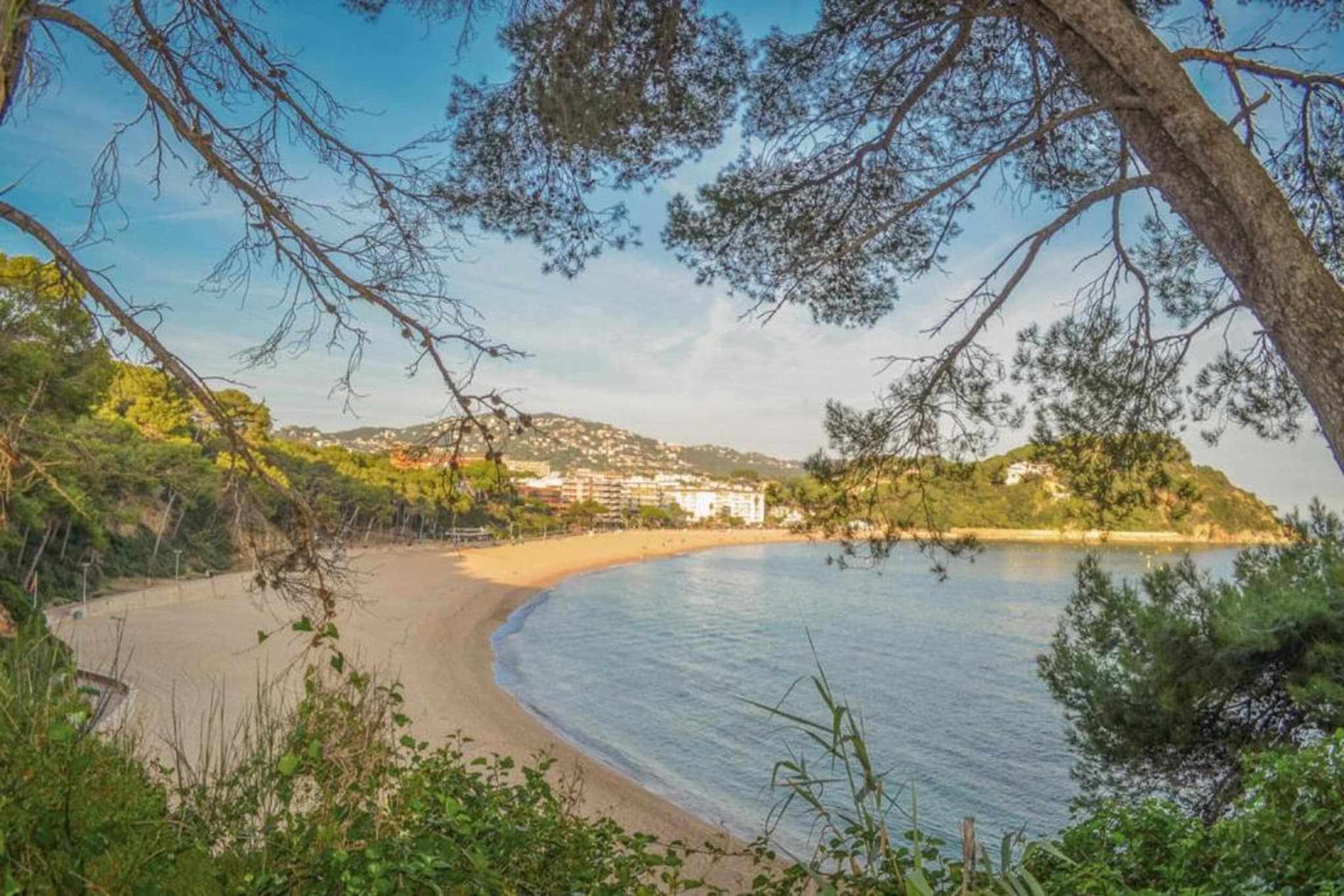 Cipresos 8pax-Gebieden zomer 20km